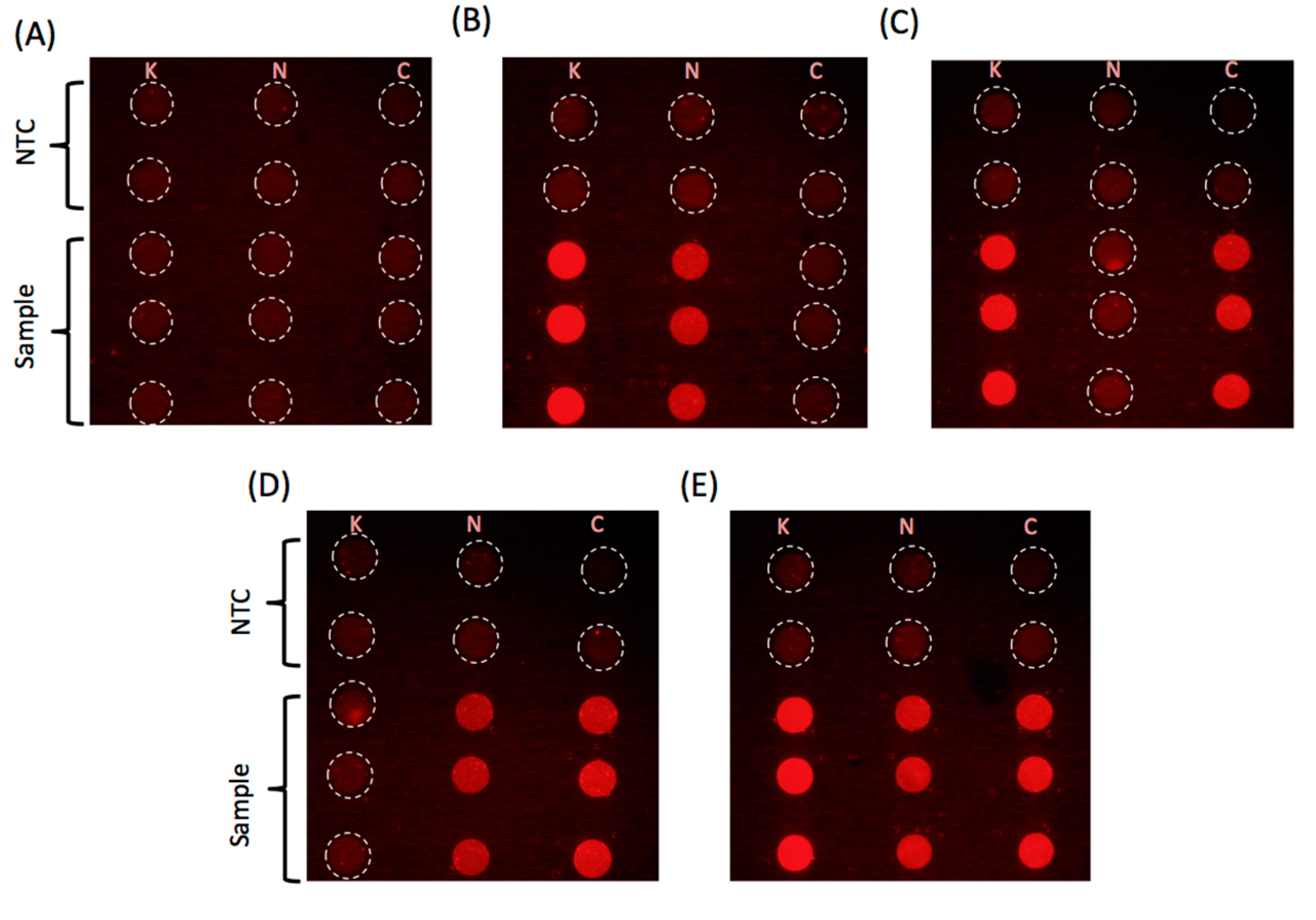 Micromachines 08 00111 g005