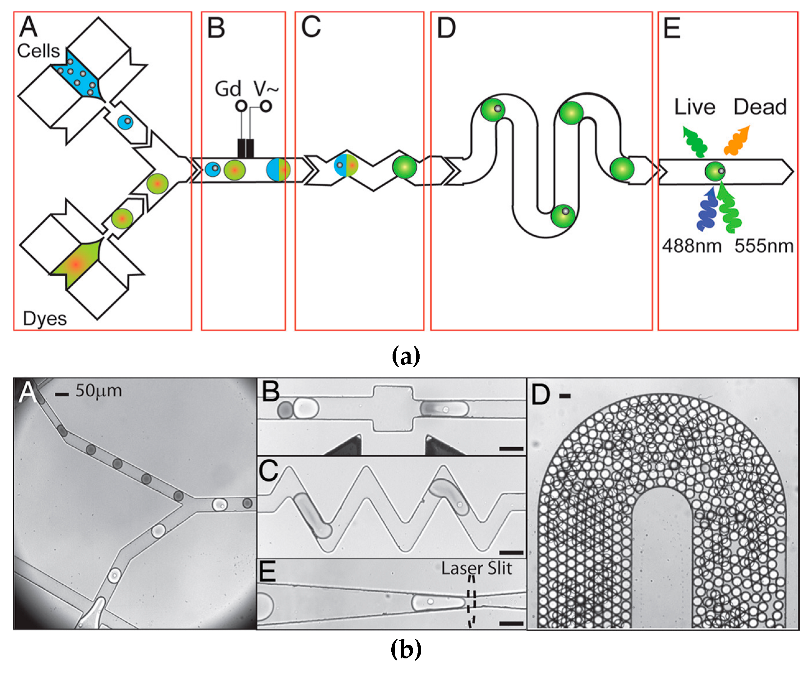 Micromachines 08 00124 g004