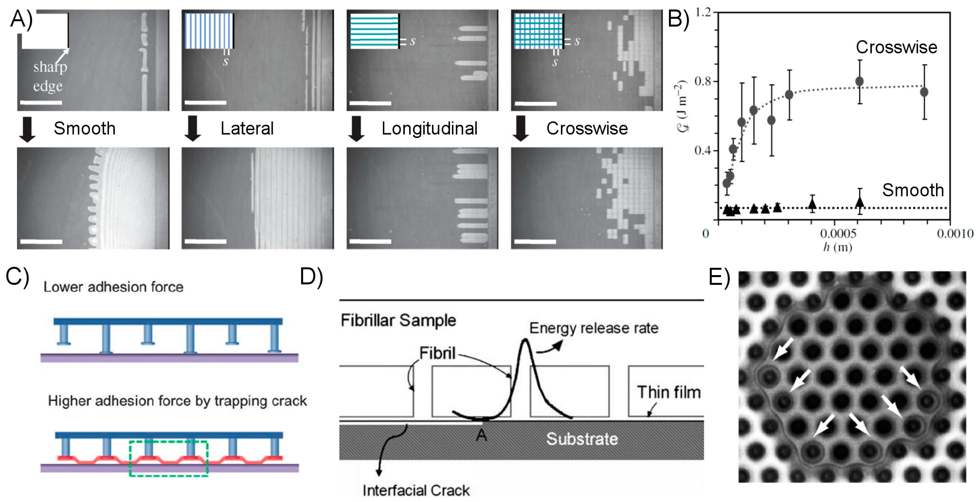 Micromachines 08 00125 g005