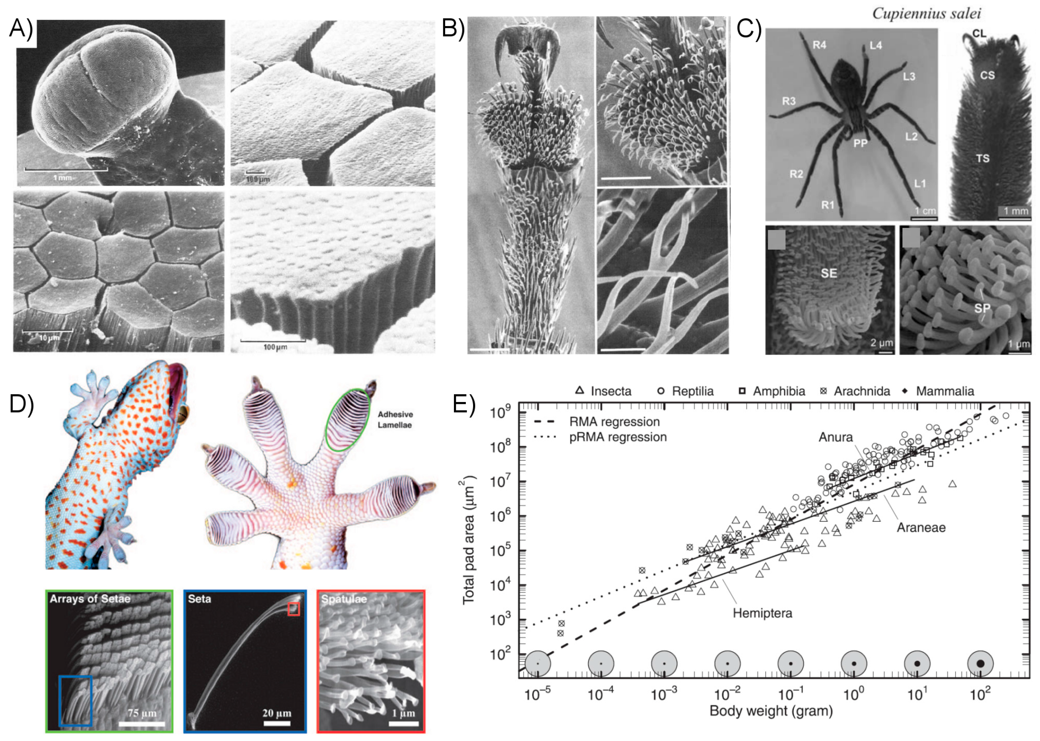 Micromachines 08 00125 g006