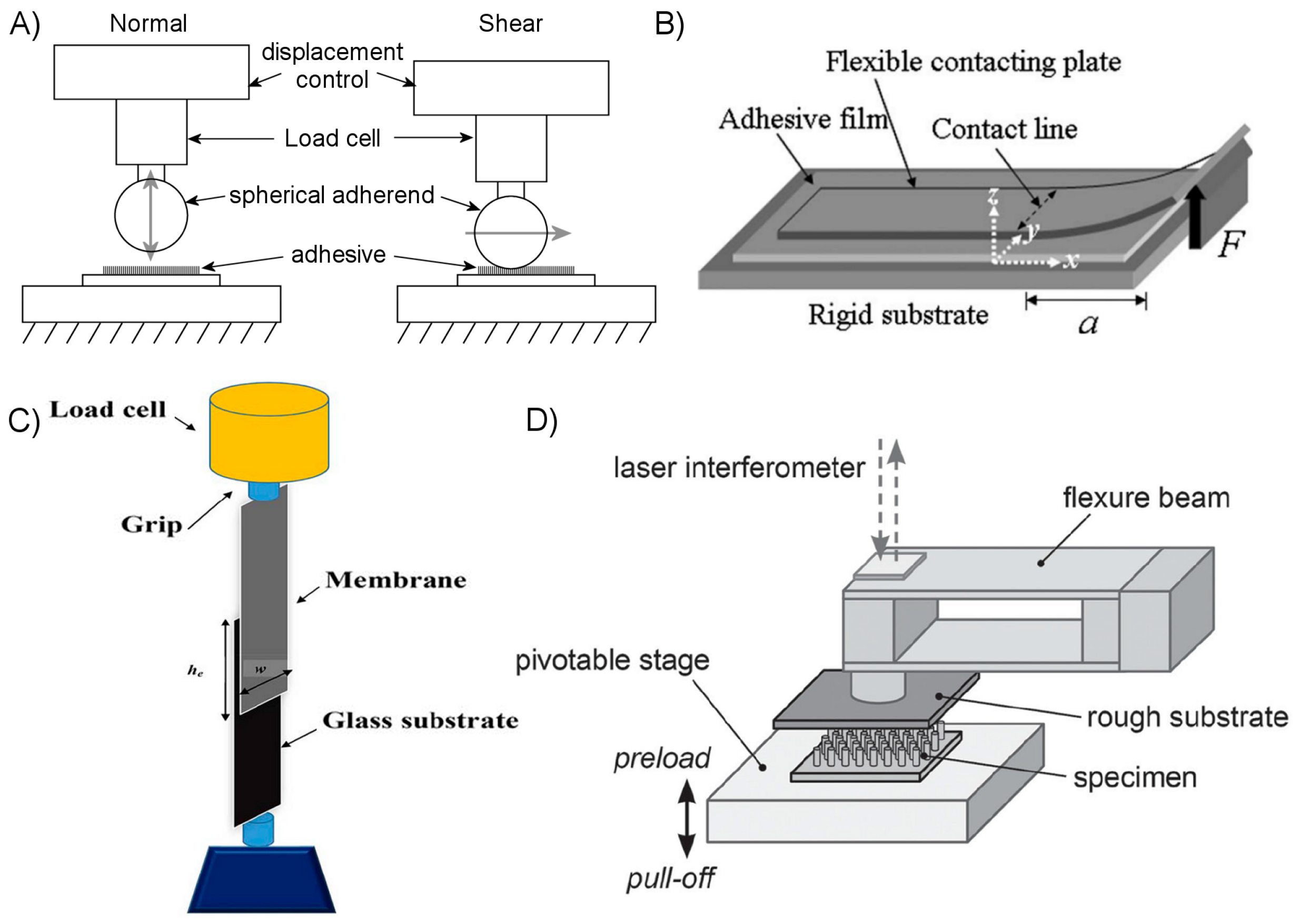 Micromachines Free Full Text A Review Of The State Of Dry Adhesives Biomimetic Structures And The Alternative Designs They Inspire Html Micromachines Free Full Text A Review Of The State Of Dry Adhesives Biomimetic Structures And The Alternative Designs They Inspire Html