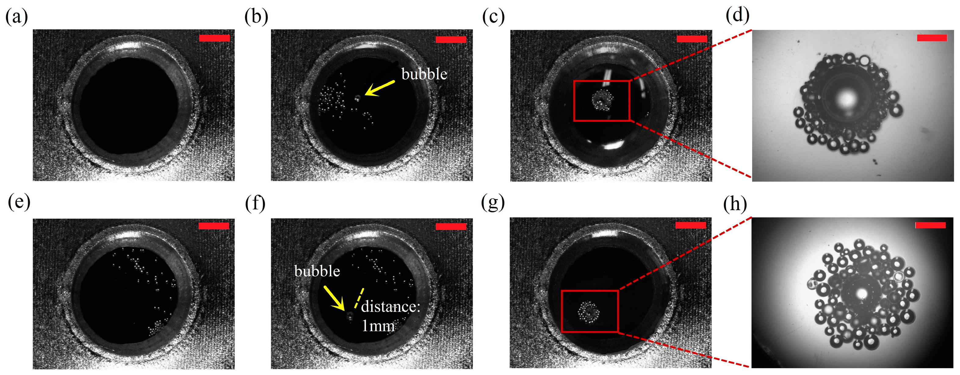 Micromachines 08 00130 g010
