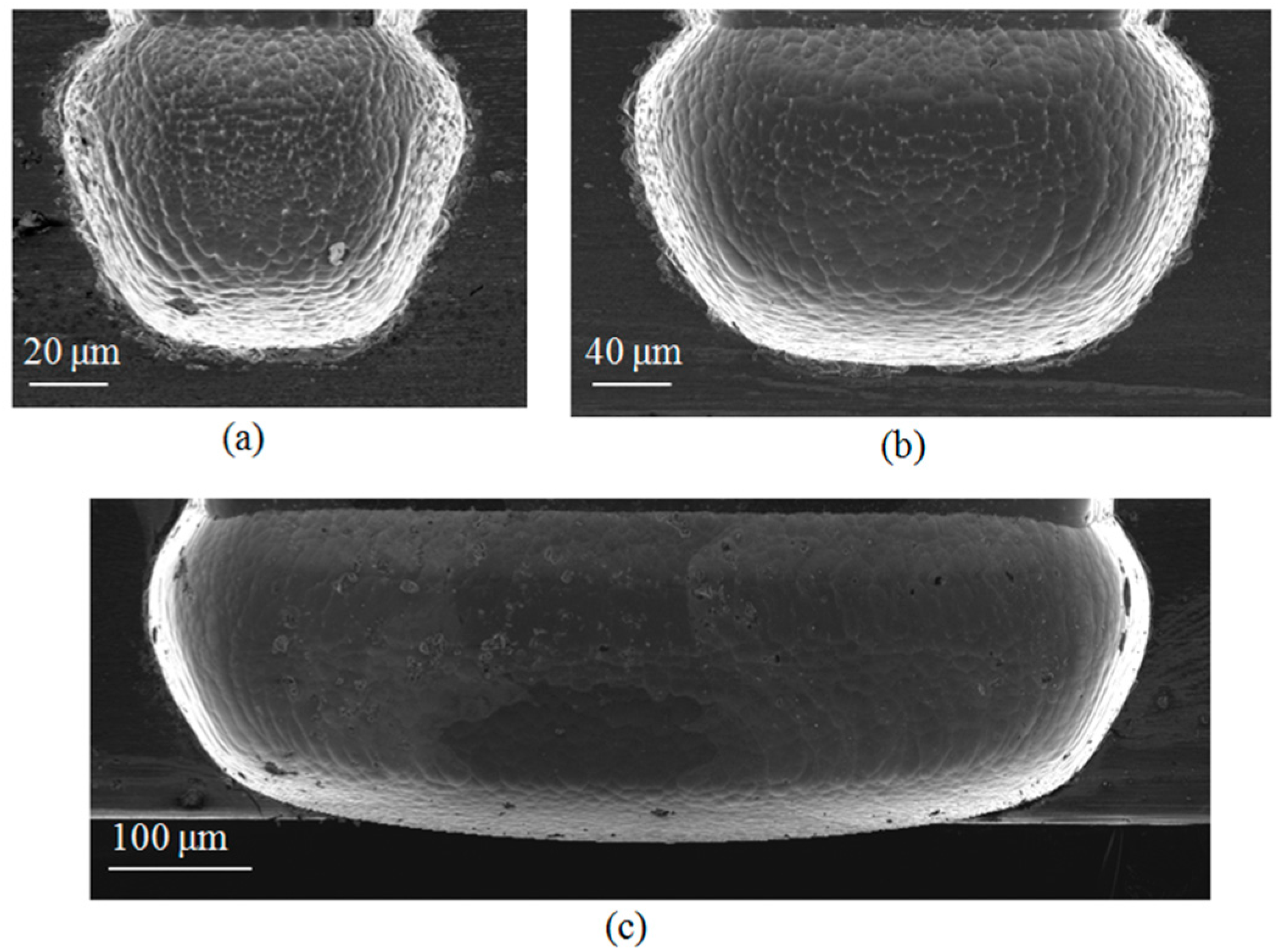 Micromachines 08 00134 g009 550