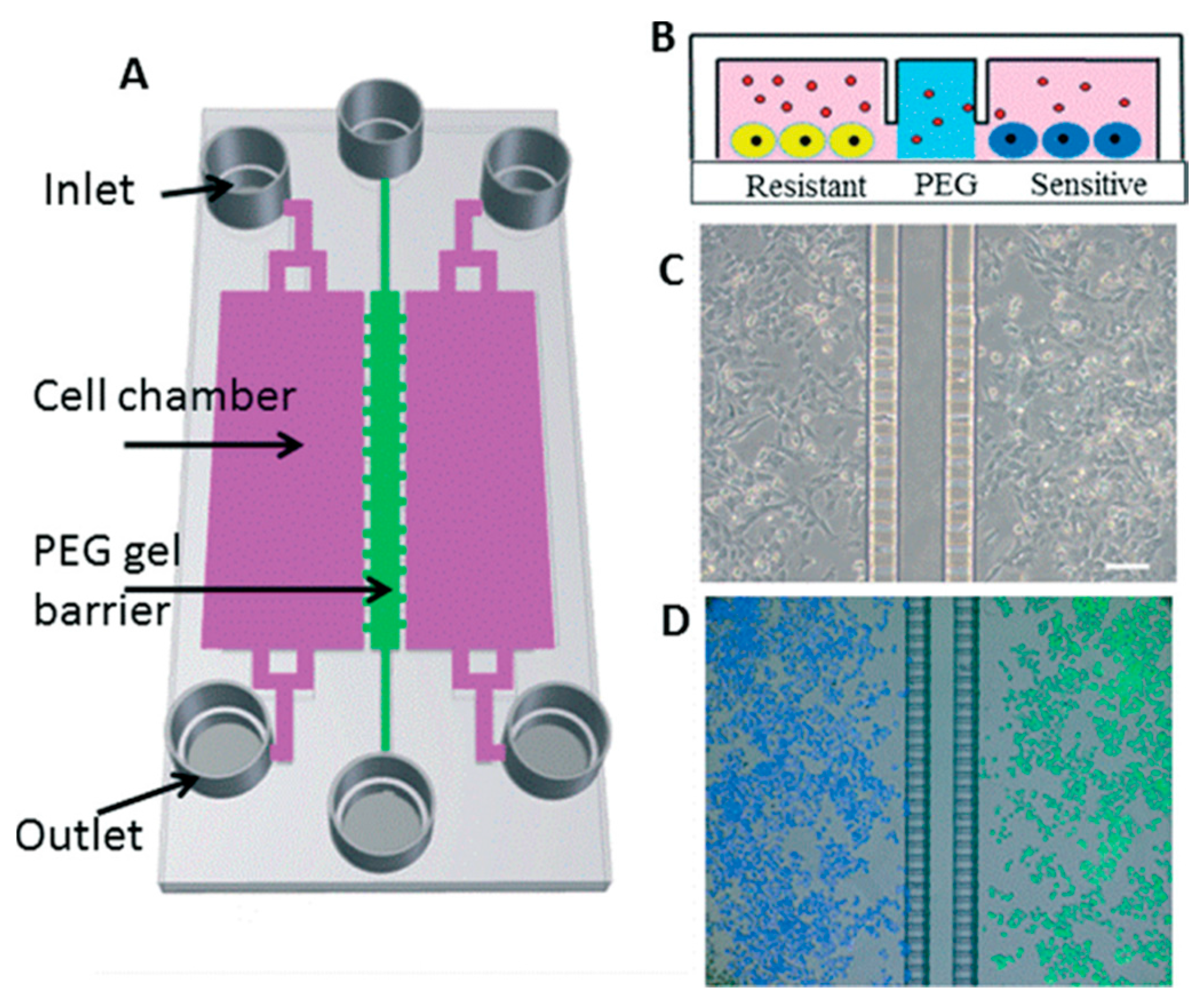 Micromachines 08 00166 g002 550