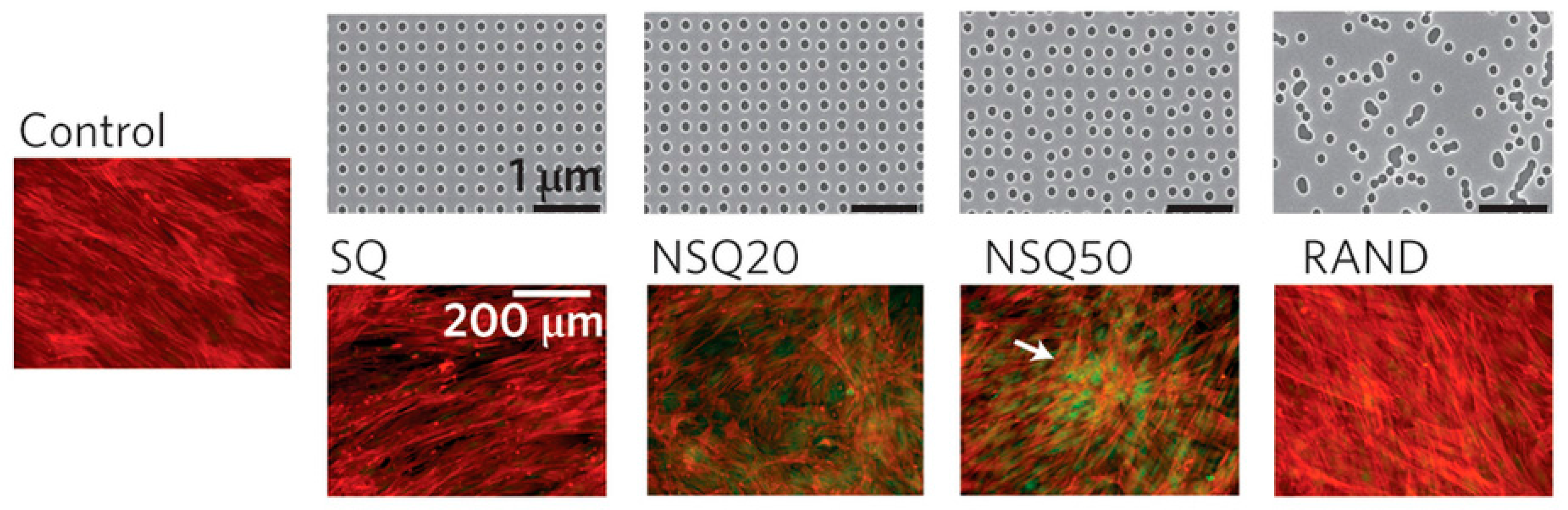 Micromachines 08 00166 g003 550