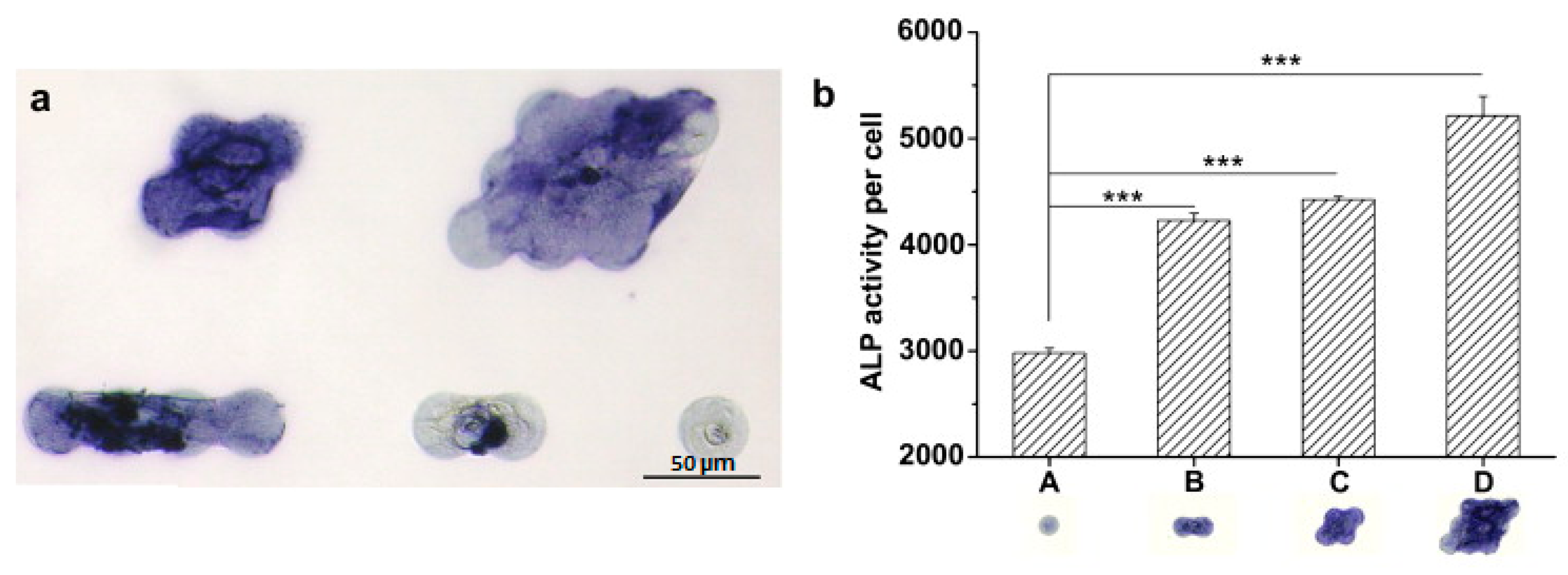 Micromachines 08 00166 g005 550