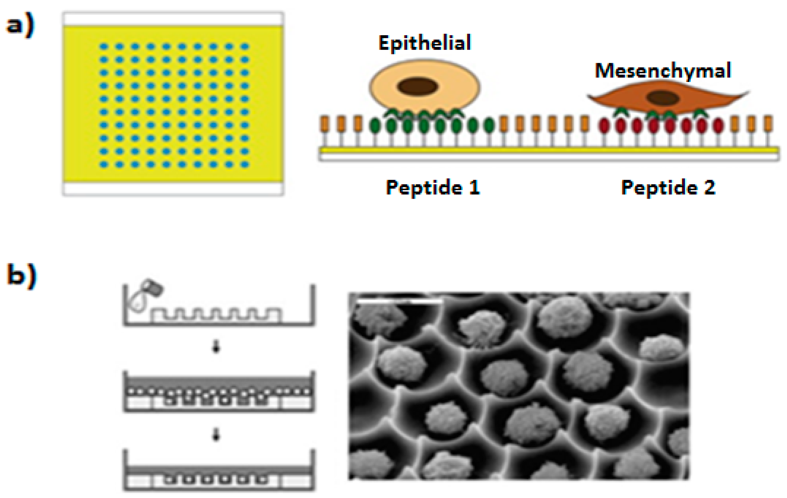 Micromachines 08 00166 g010 550