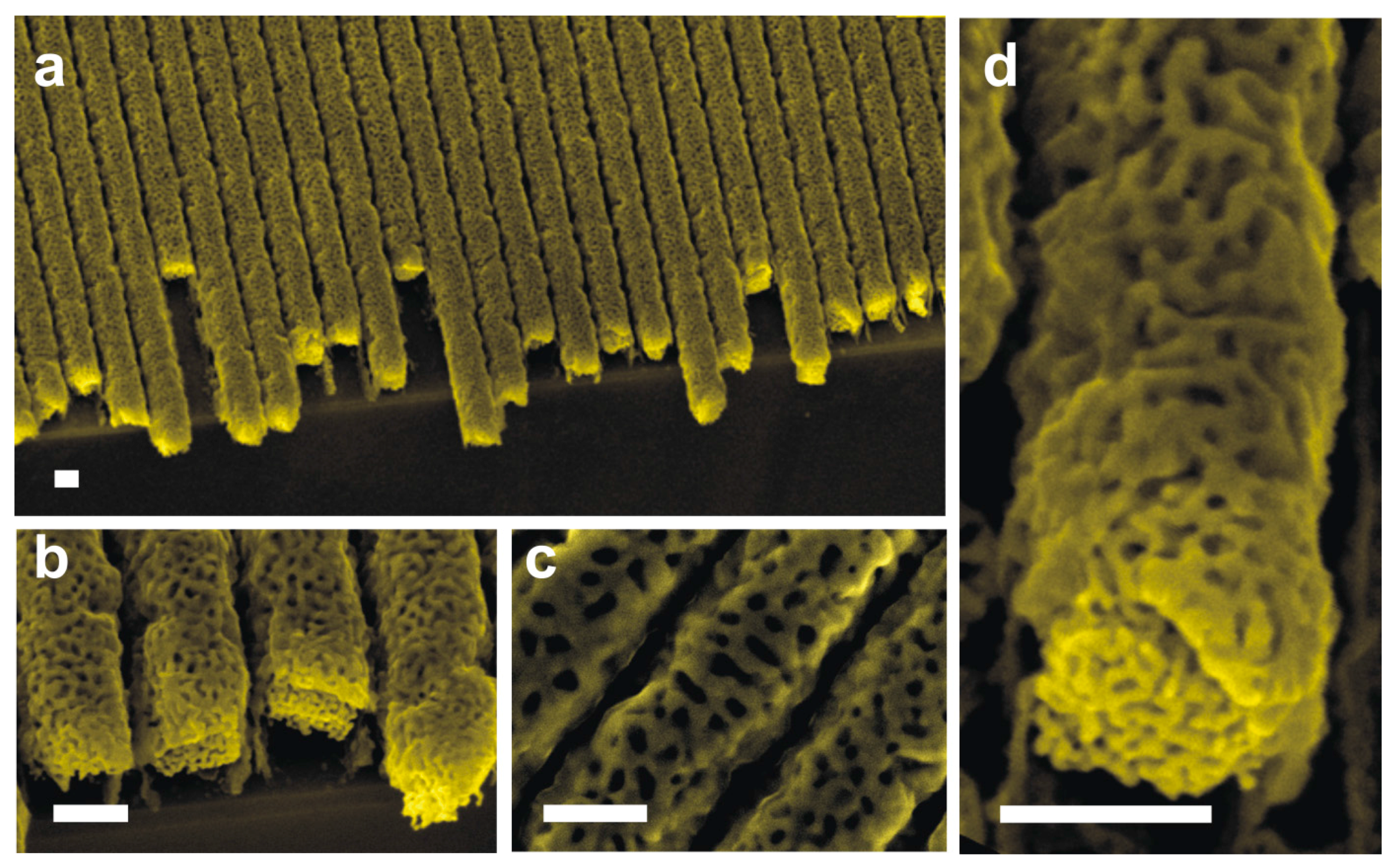 Micromachines 08 00168 g005 550