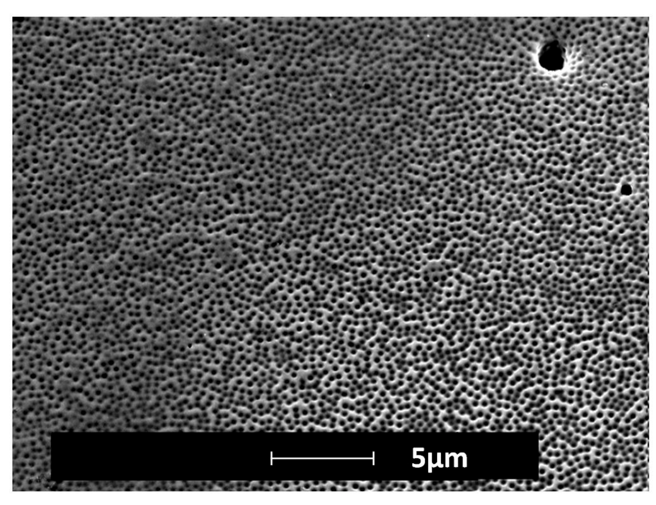 Micromachines 08 00179 g007