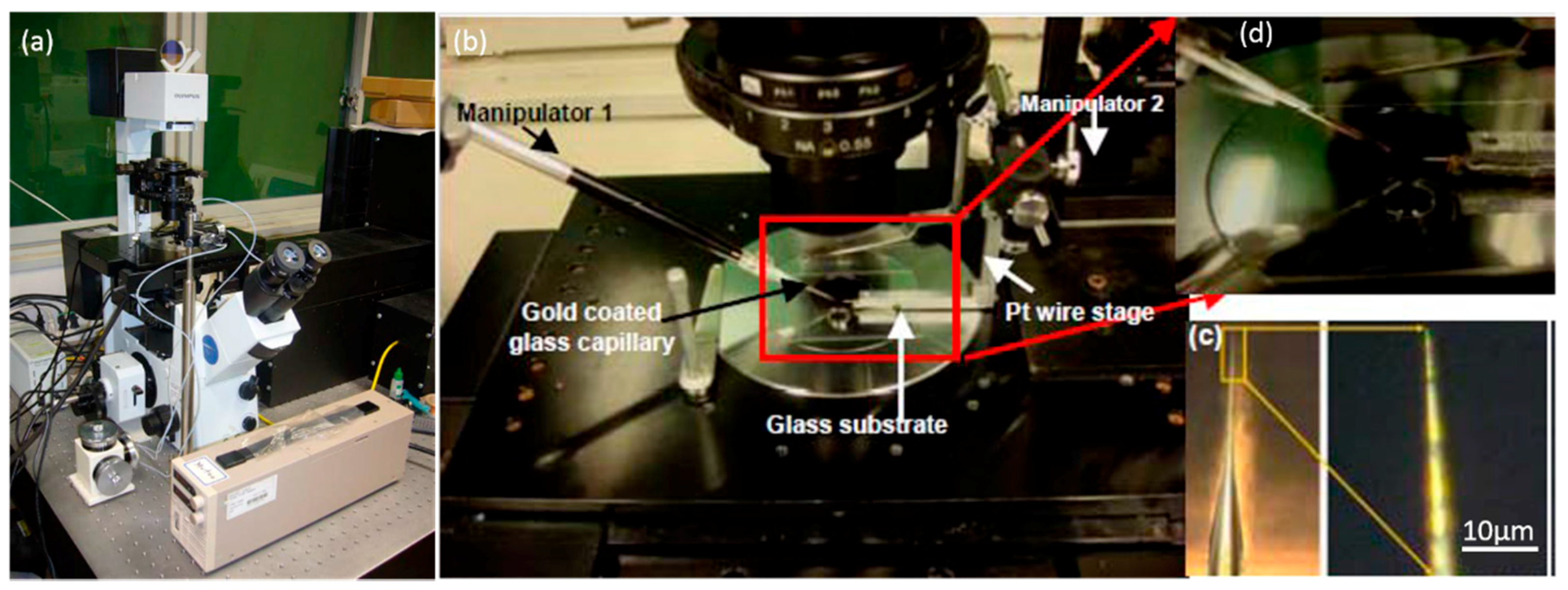 Micromachines 08 00183 g005 550