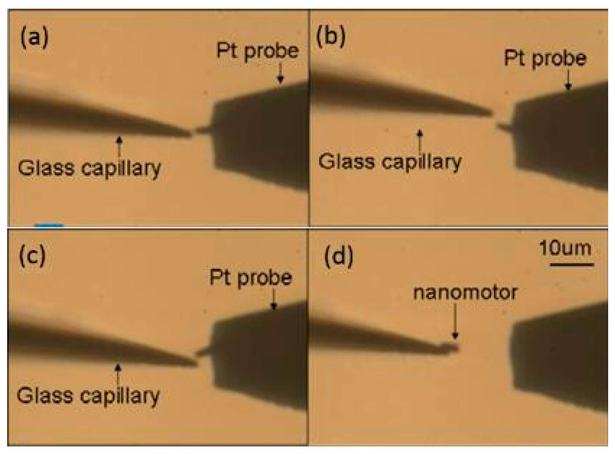 Micromachines 08 00183 g006 550