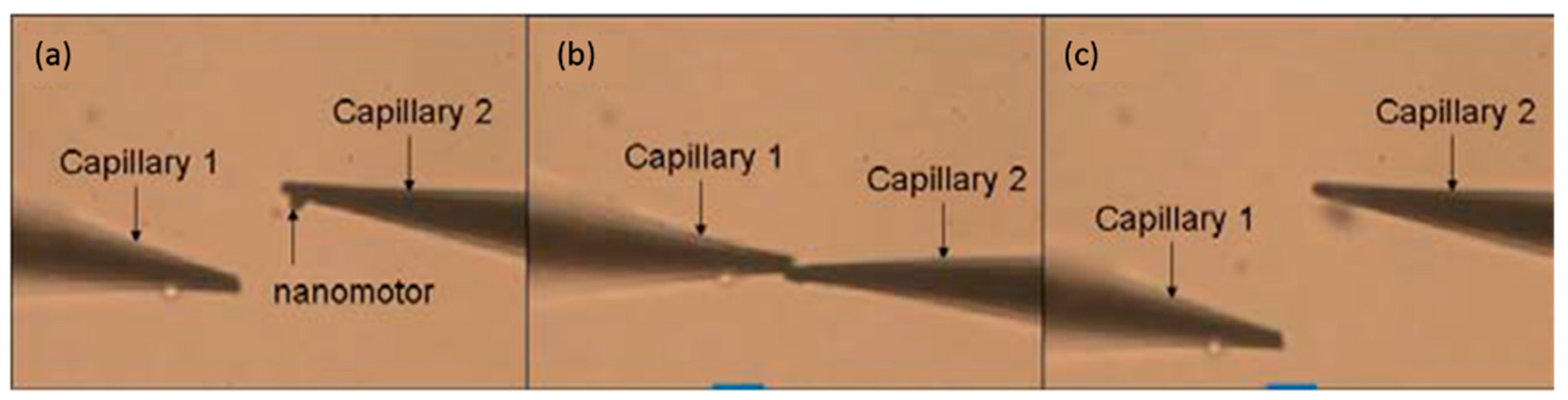 Micromachines 08 00183 g007 550