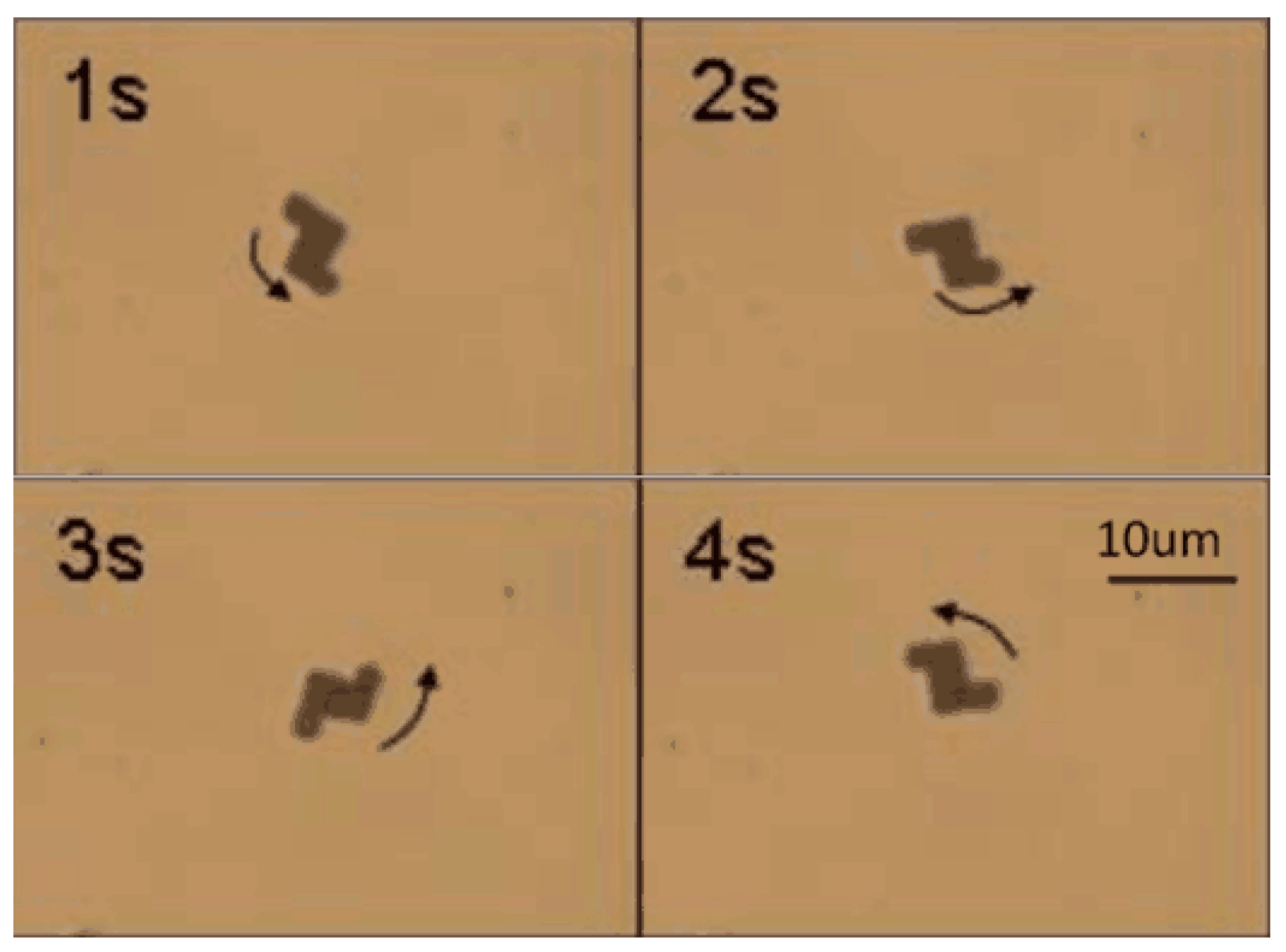 Micromachines 08 00183 g009 550