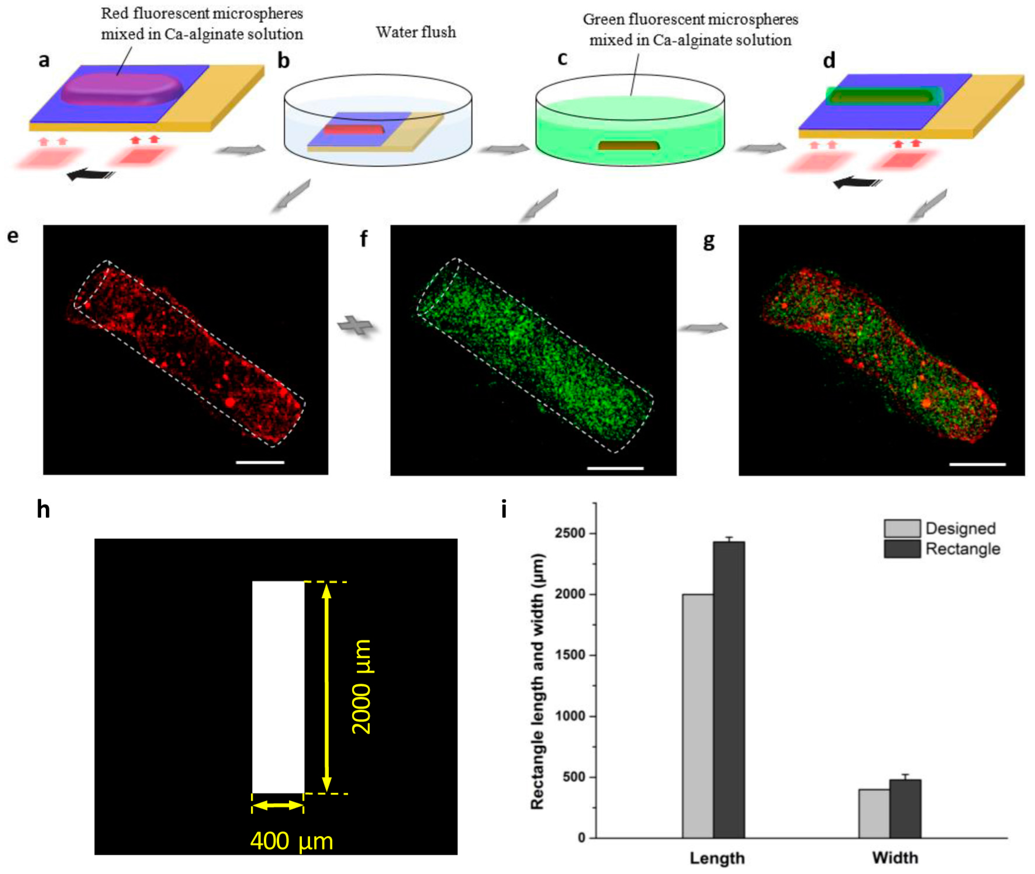Micromachines 08 00192 g006 550