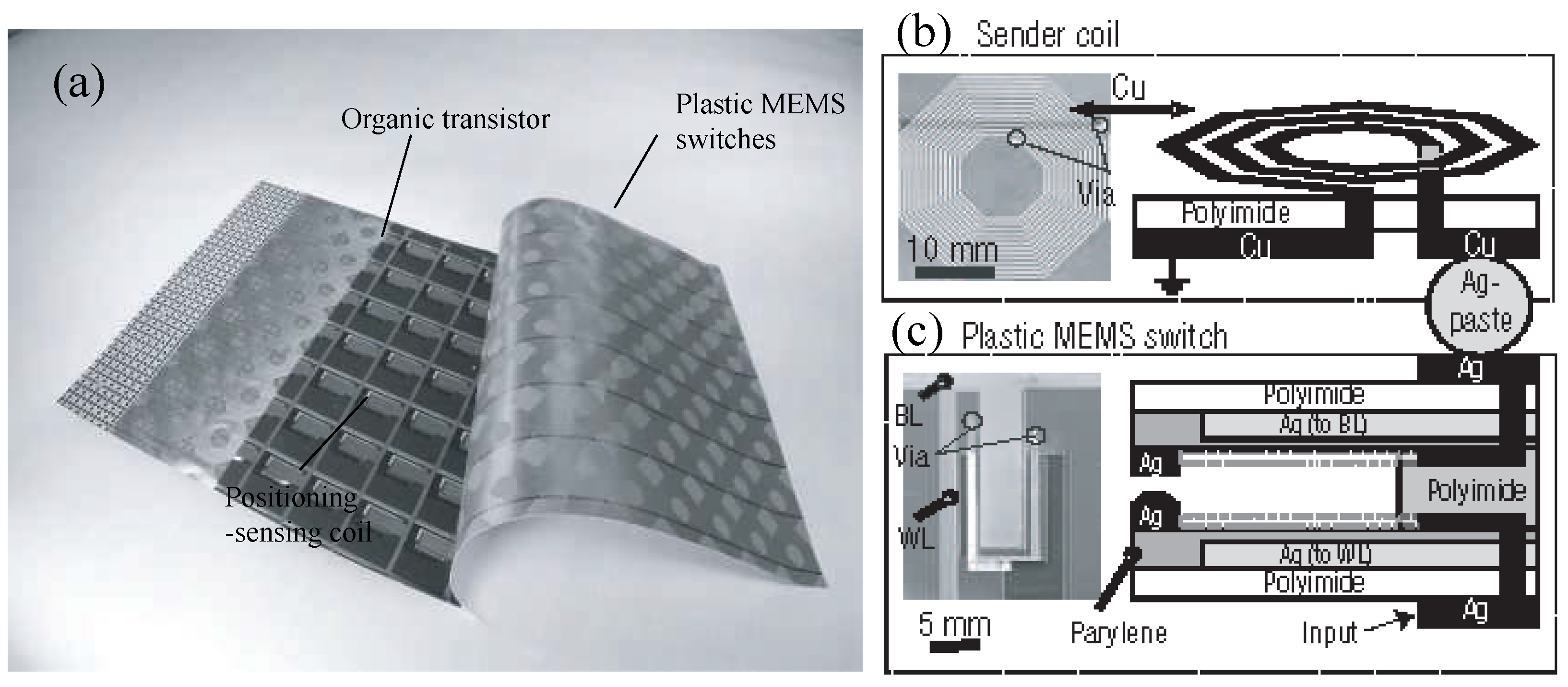 Micromachines 08 00194 g010