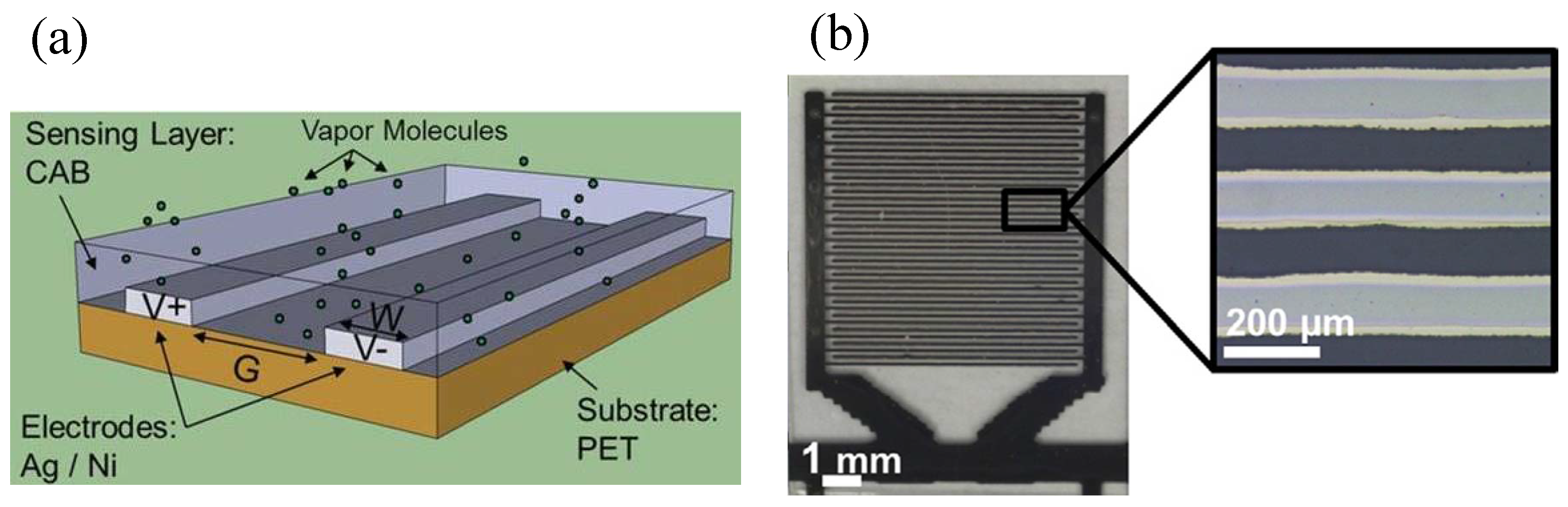 Micromachines 08 00194 g014