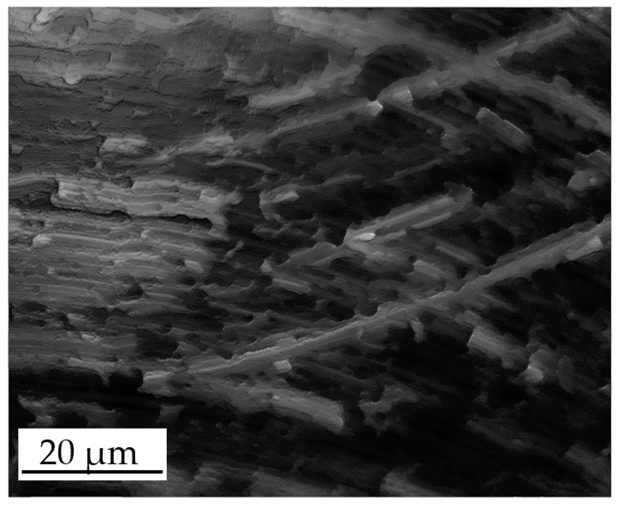 Micromachines 08 00195 g008 550