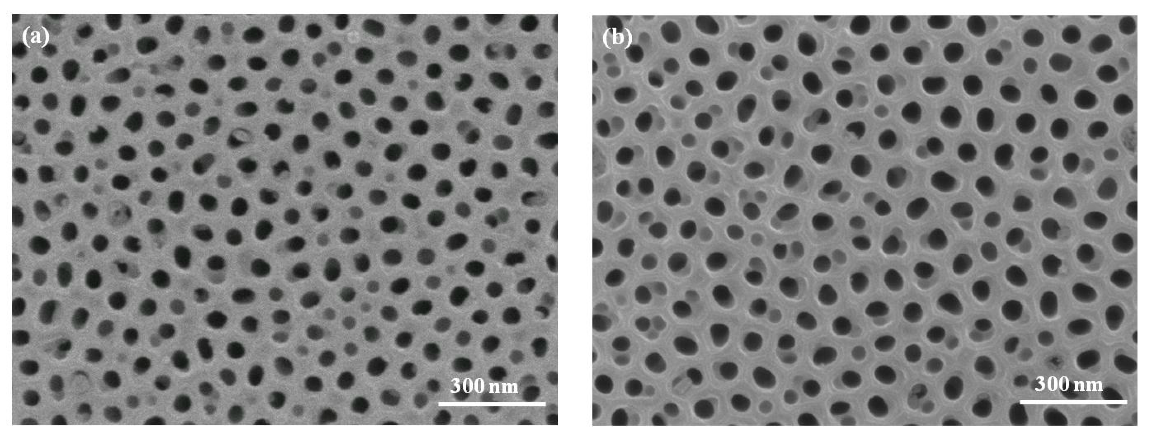 Micromachines 08 00206 g001a 550