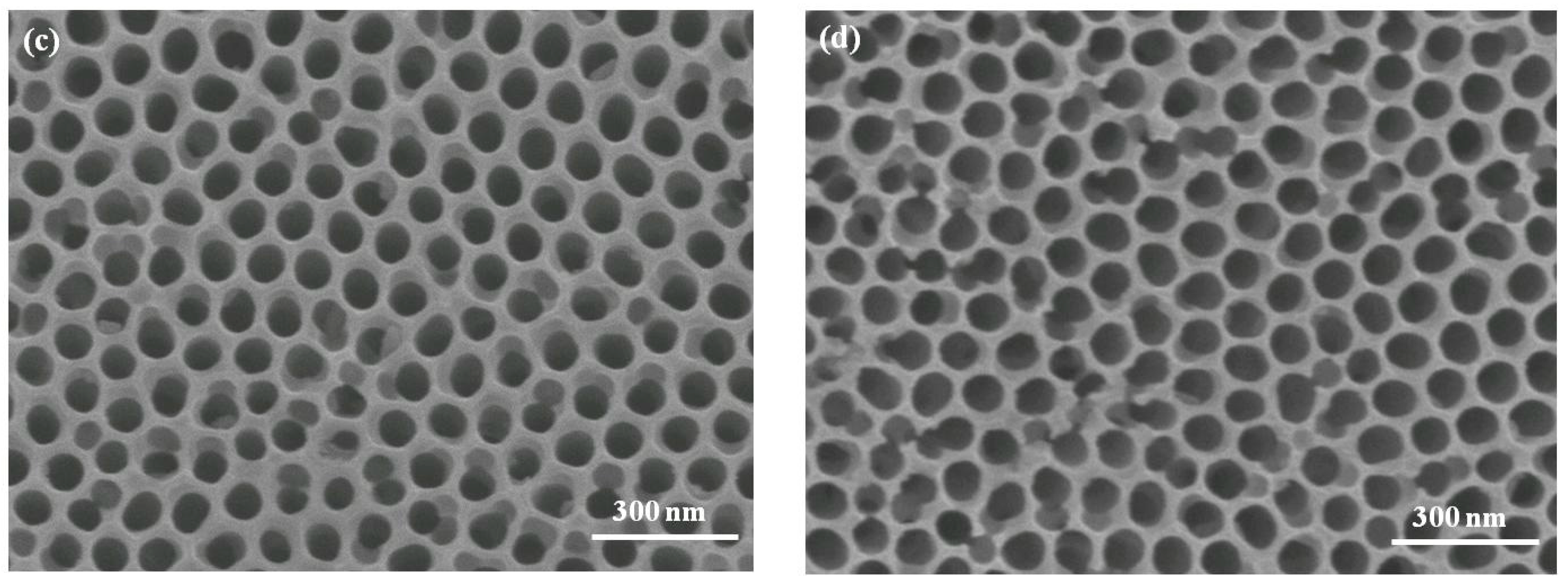 Micromachines 08 00206 g001b 550