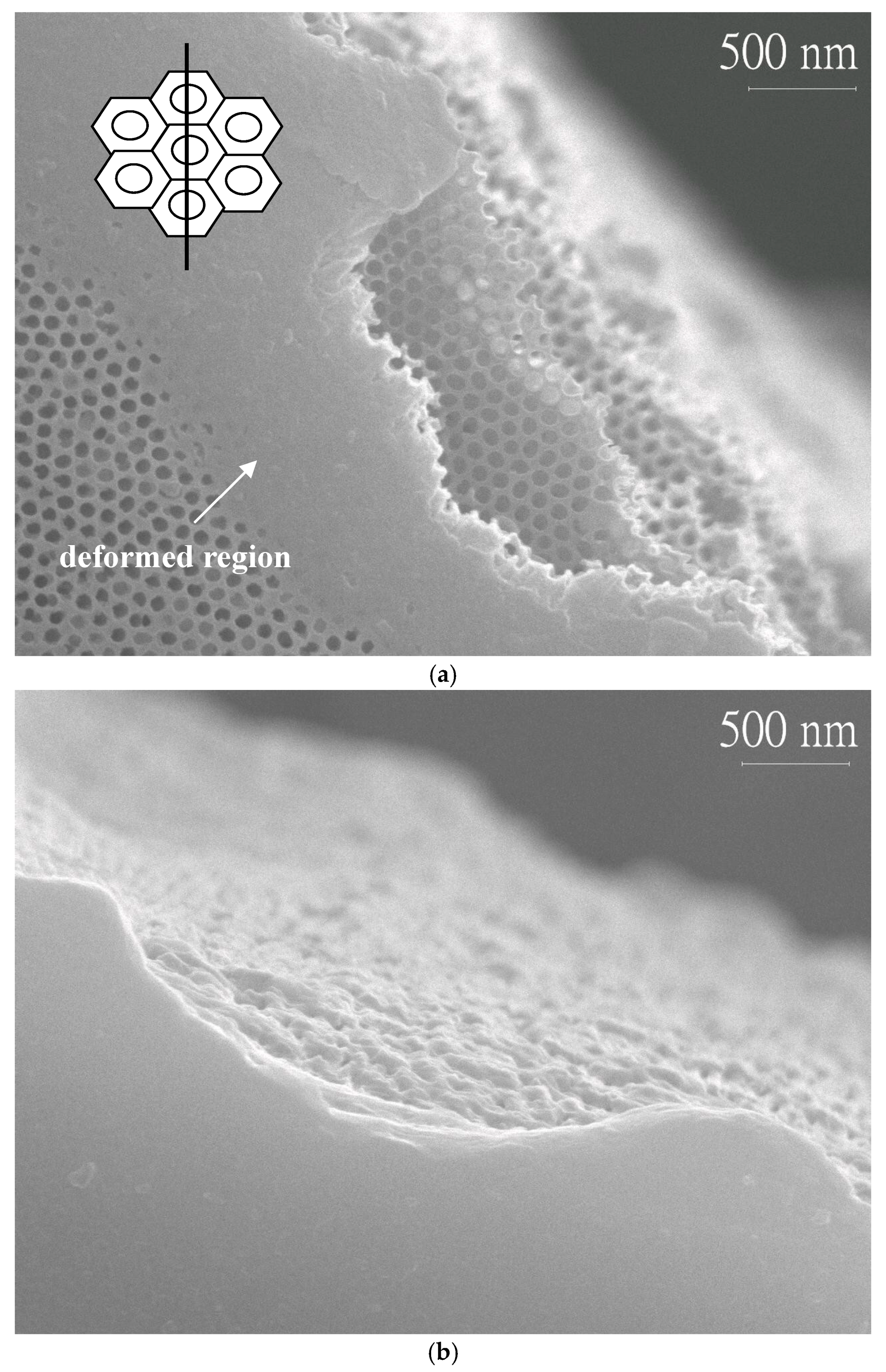 Micromachines 08 00206 g004 550