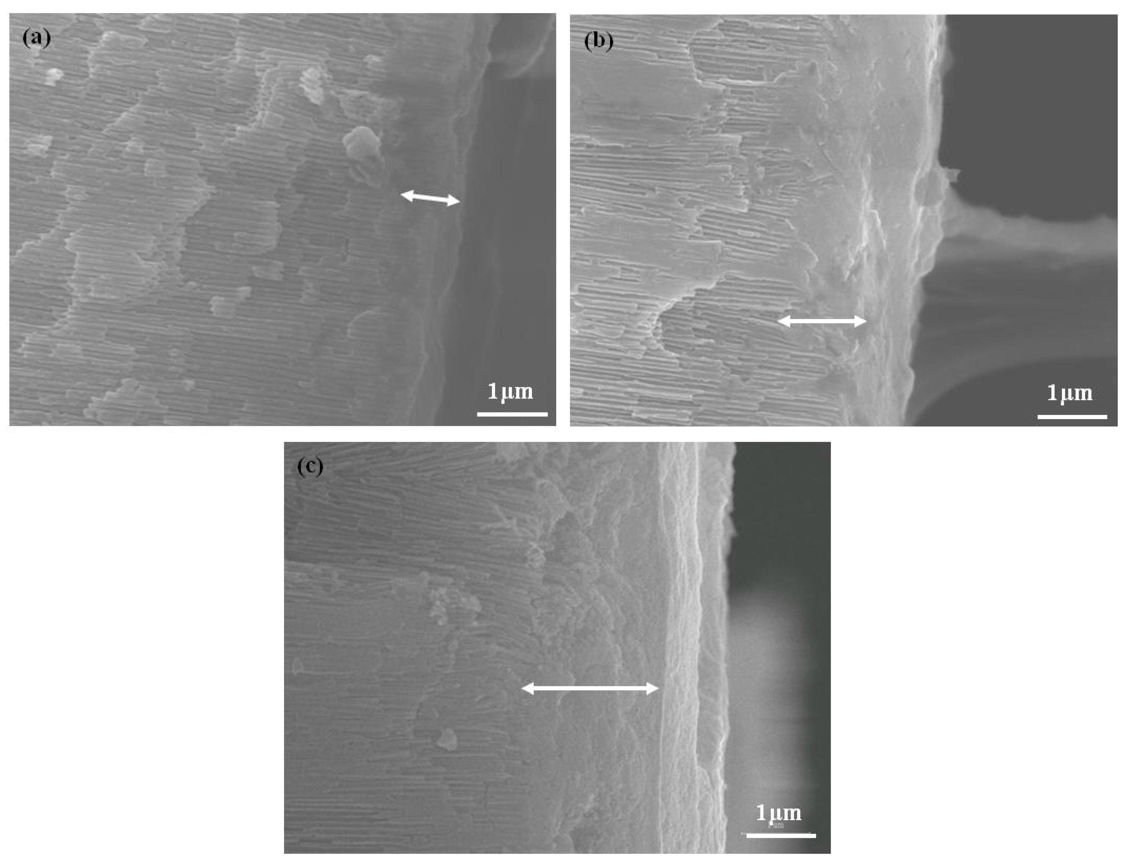 Micromachines 08 00206 g005 550