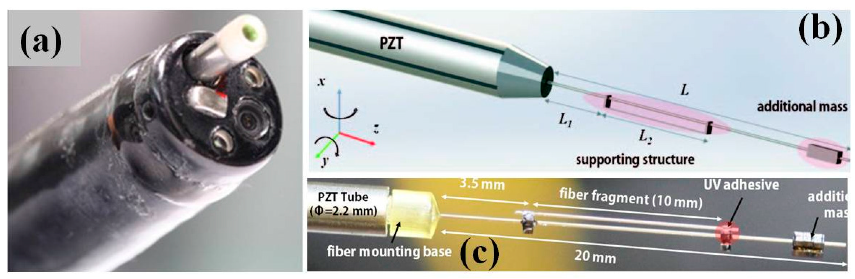 Micromachines 08 00210 g007 550