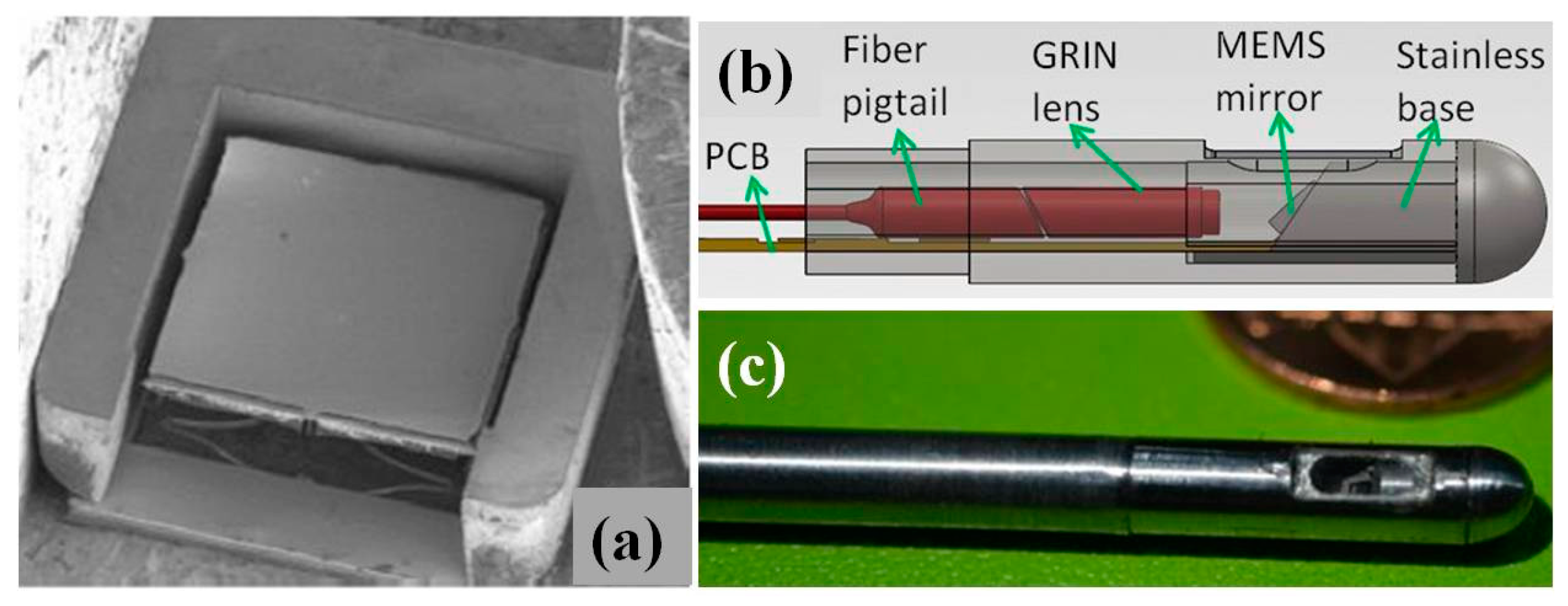 Micromachines 08 00210 g008 550