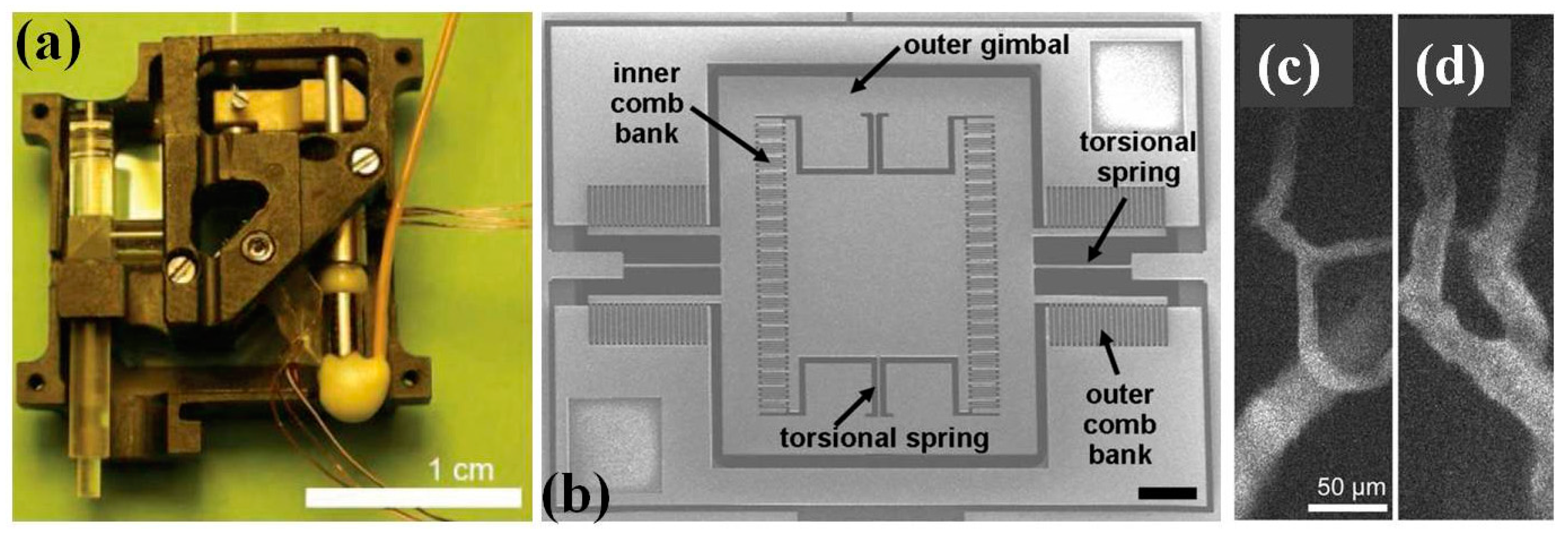 Micromachines 08 00210 g016 550