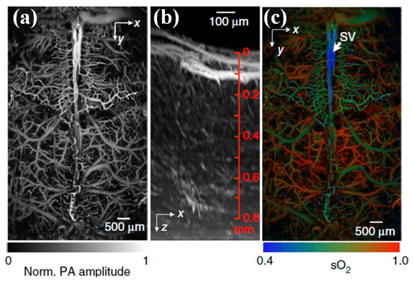 Micromachines 08 00210 g020 550