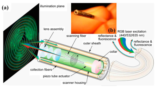 Micromachines | Free Full-Text | New Endoscopic Imaging Technology 