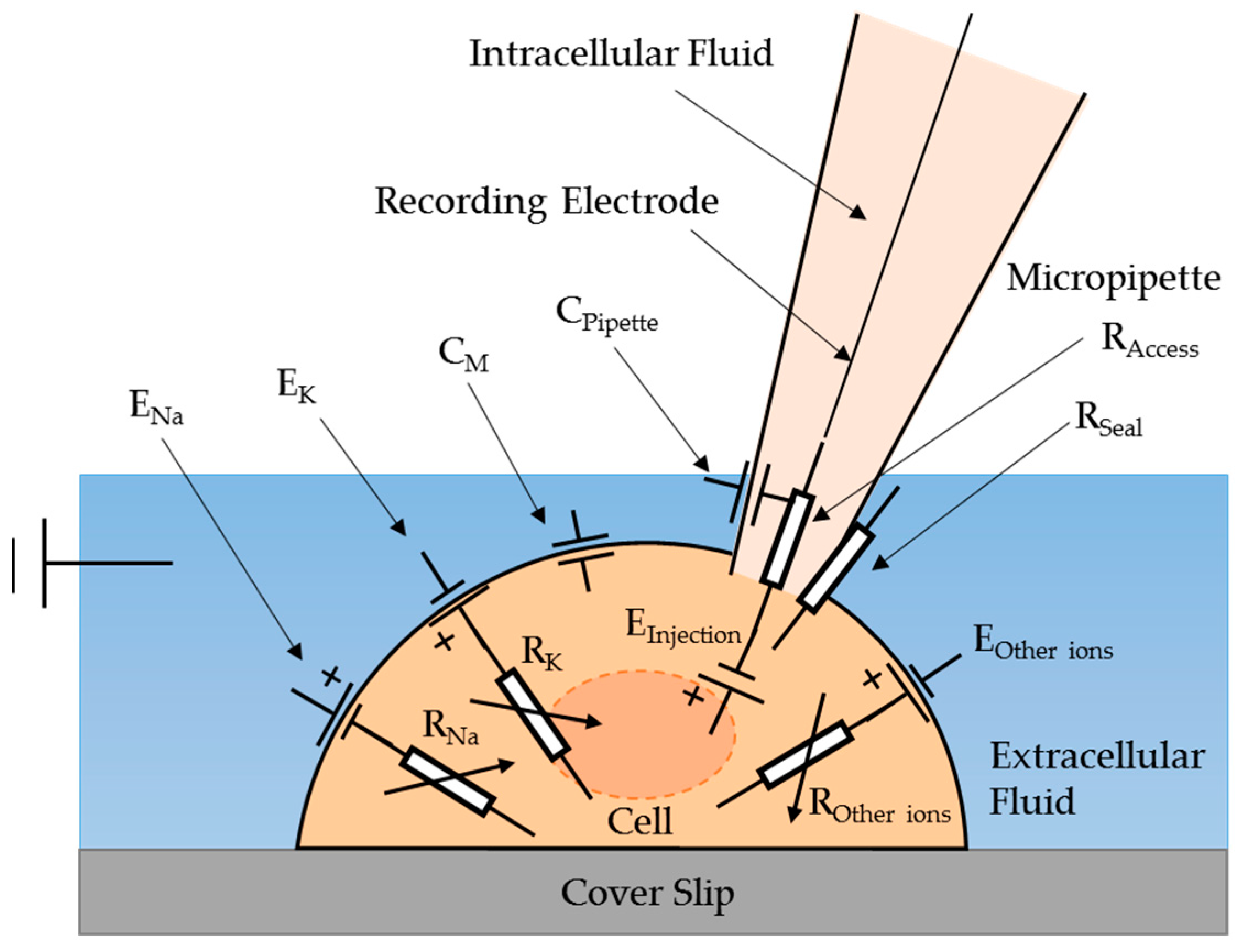 Micromachines 08 00216 g001 550