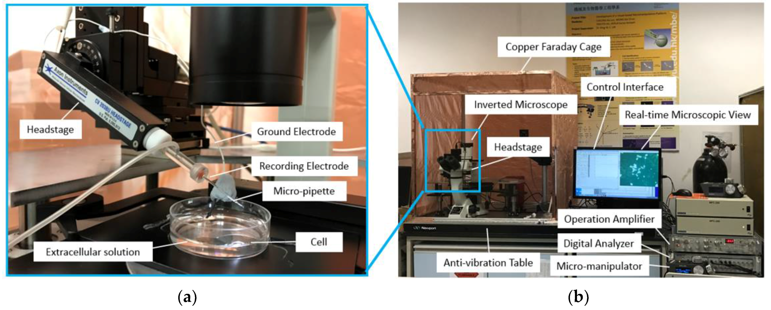 Micromachines 08 00216 g004 550