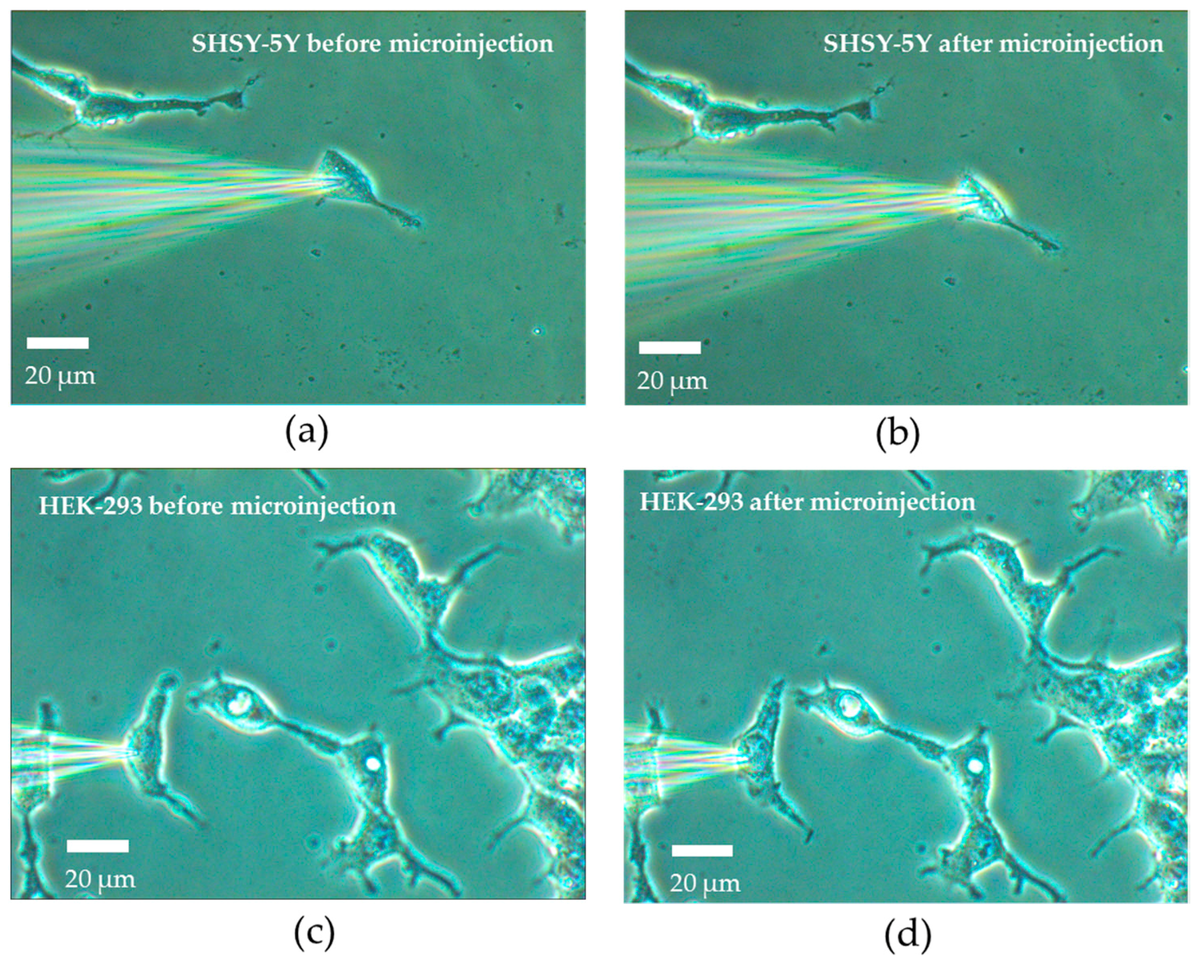 Micromachines 08 00216 g005 550