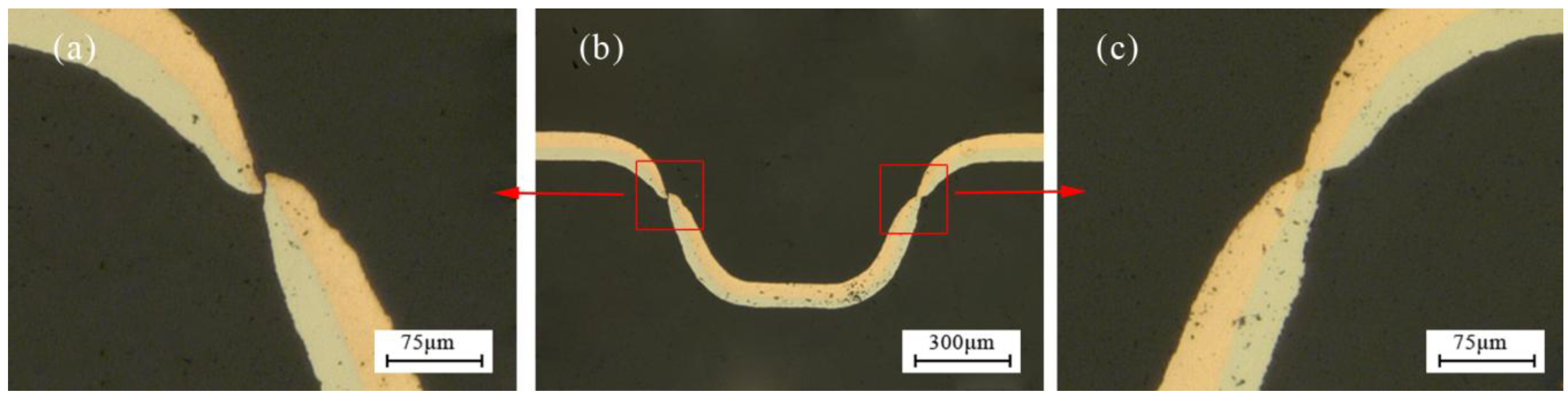 Micromachines 08 00224 g011 550