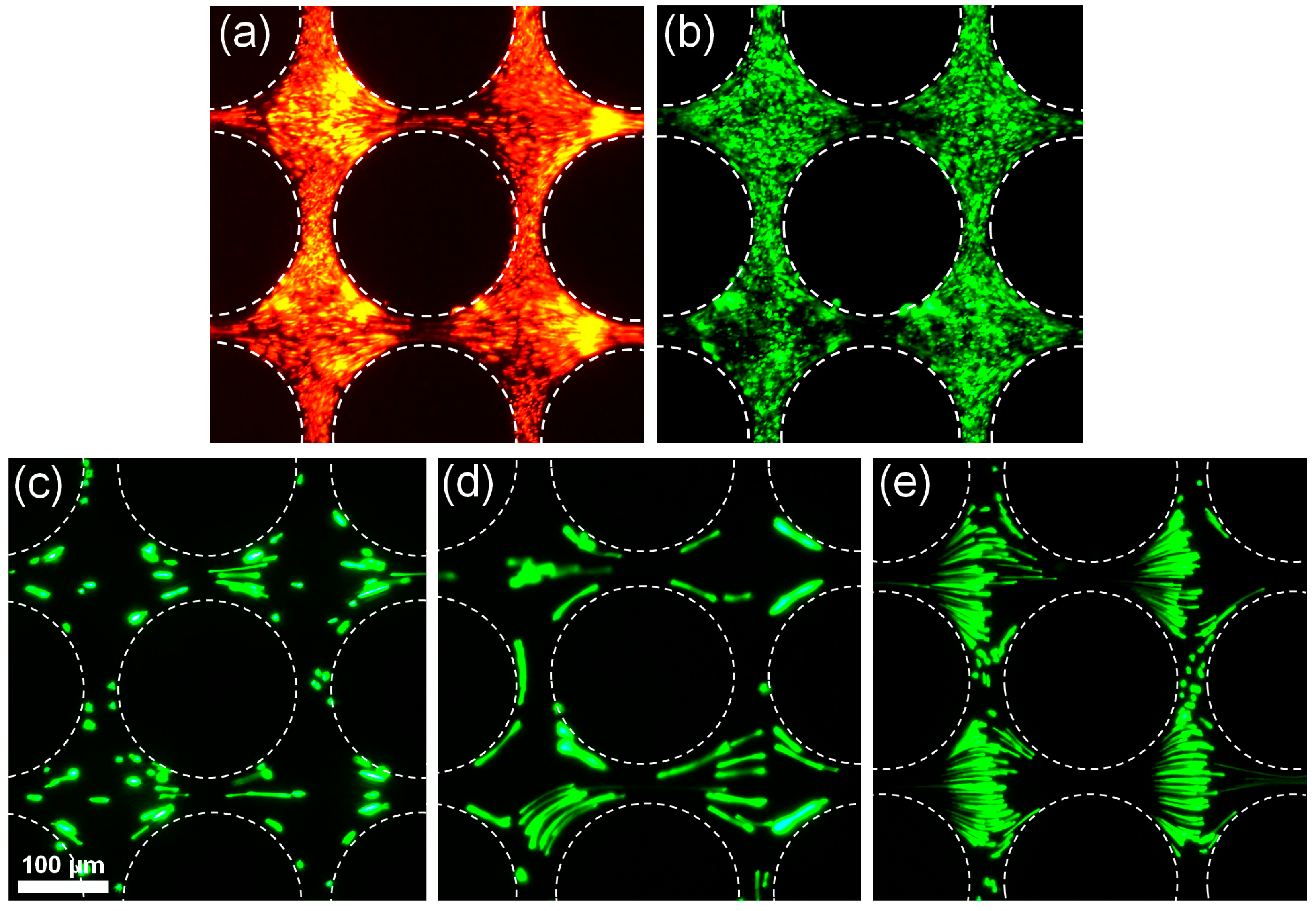 Micromachines 08 00239 g003