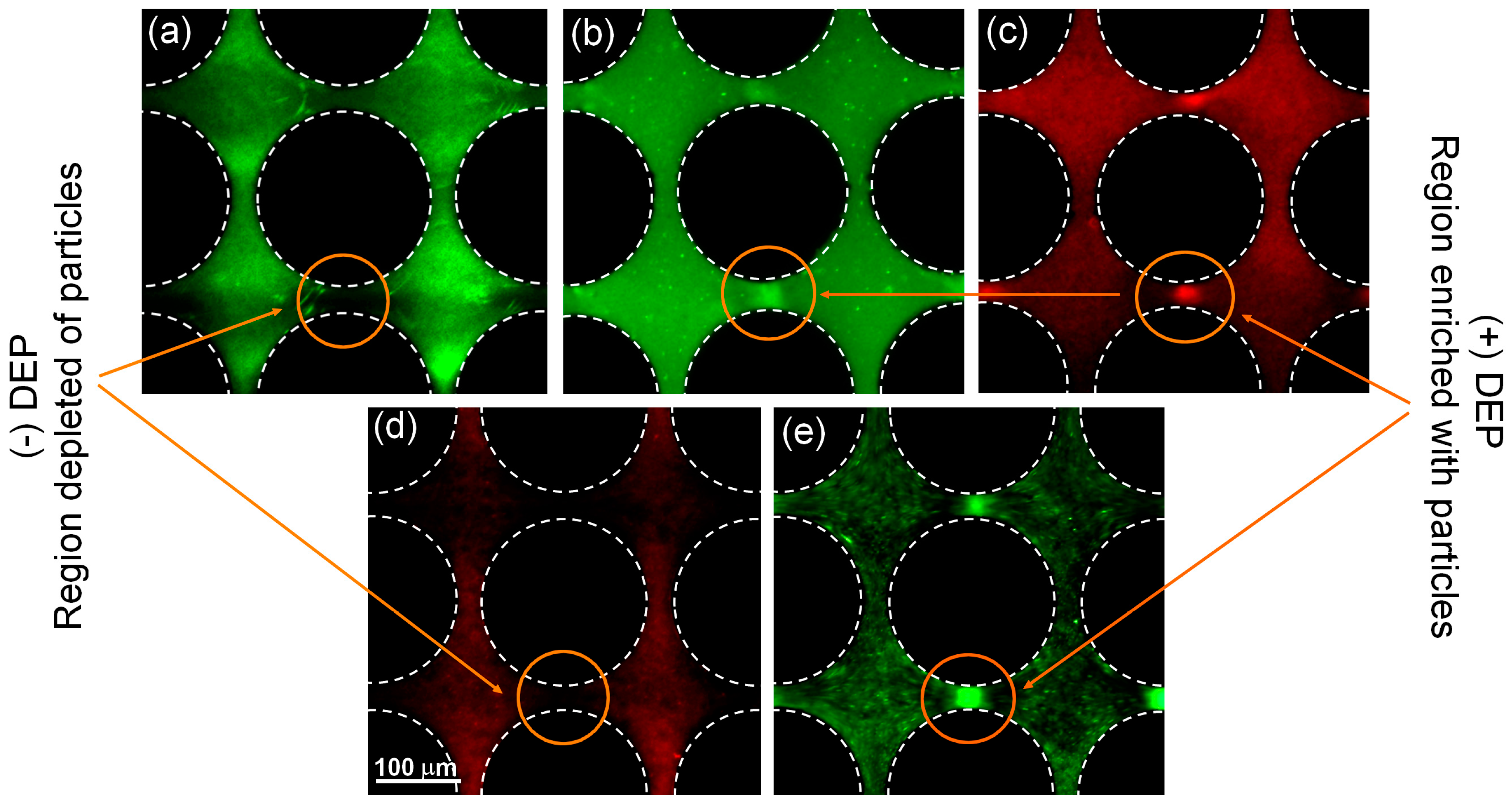 Micromachines 08 00239 g004