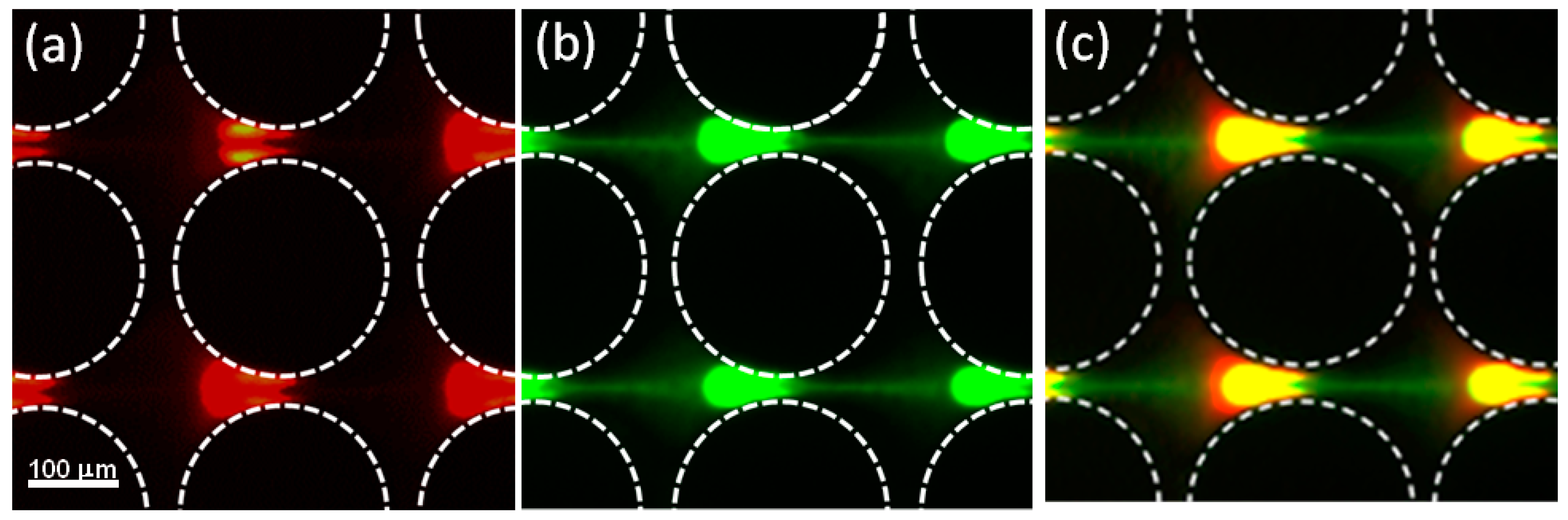 Micromachines 08 00239 g005