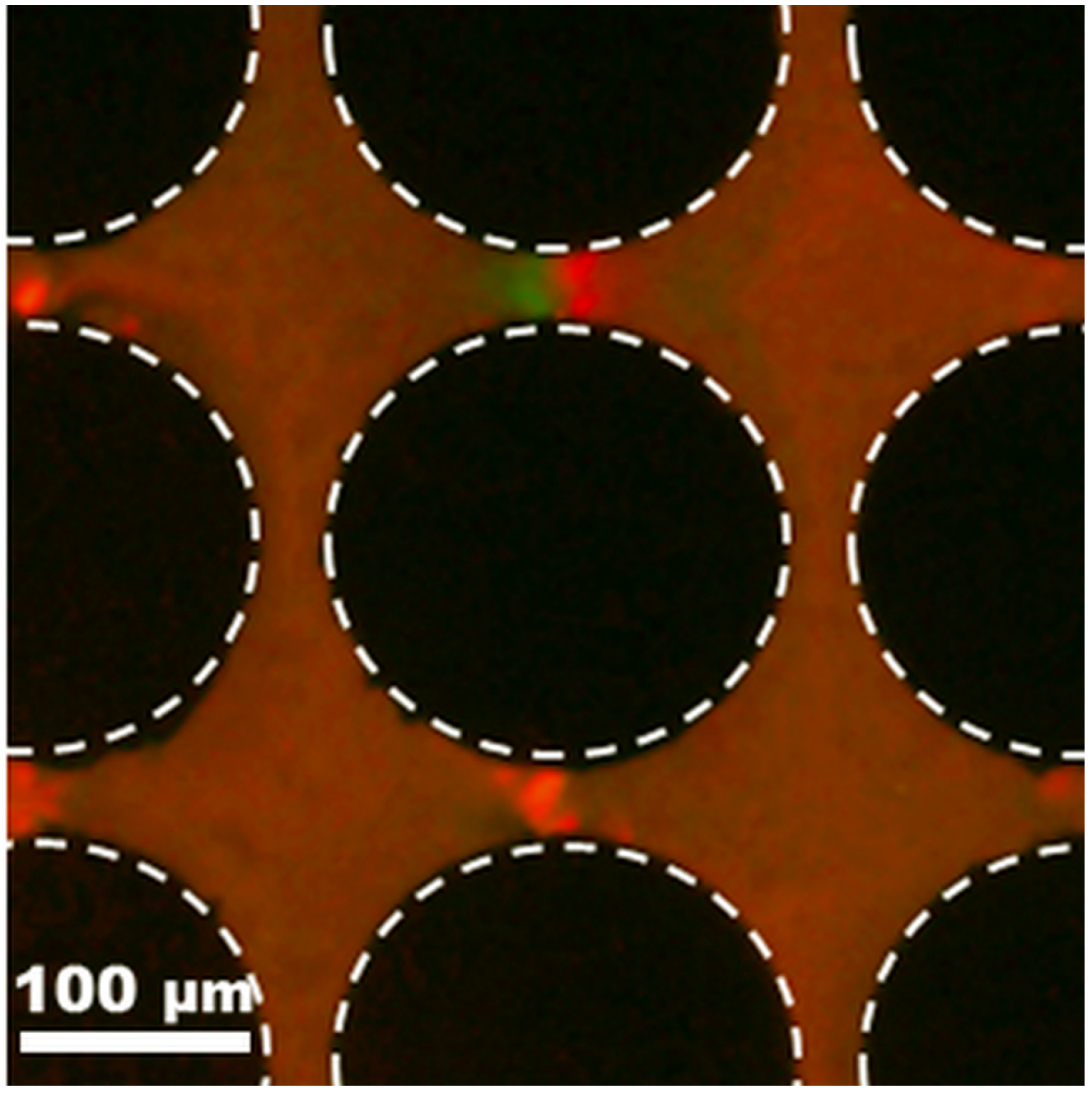 Micromachines 08 00239 g006