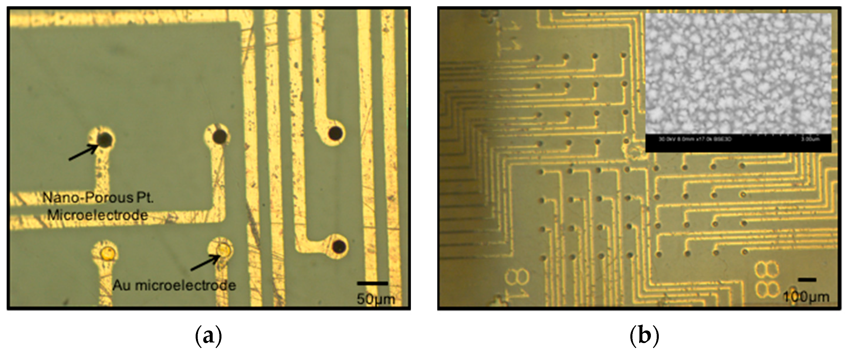 Micromachines 08 00250 g015