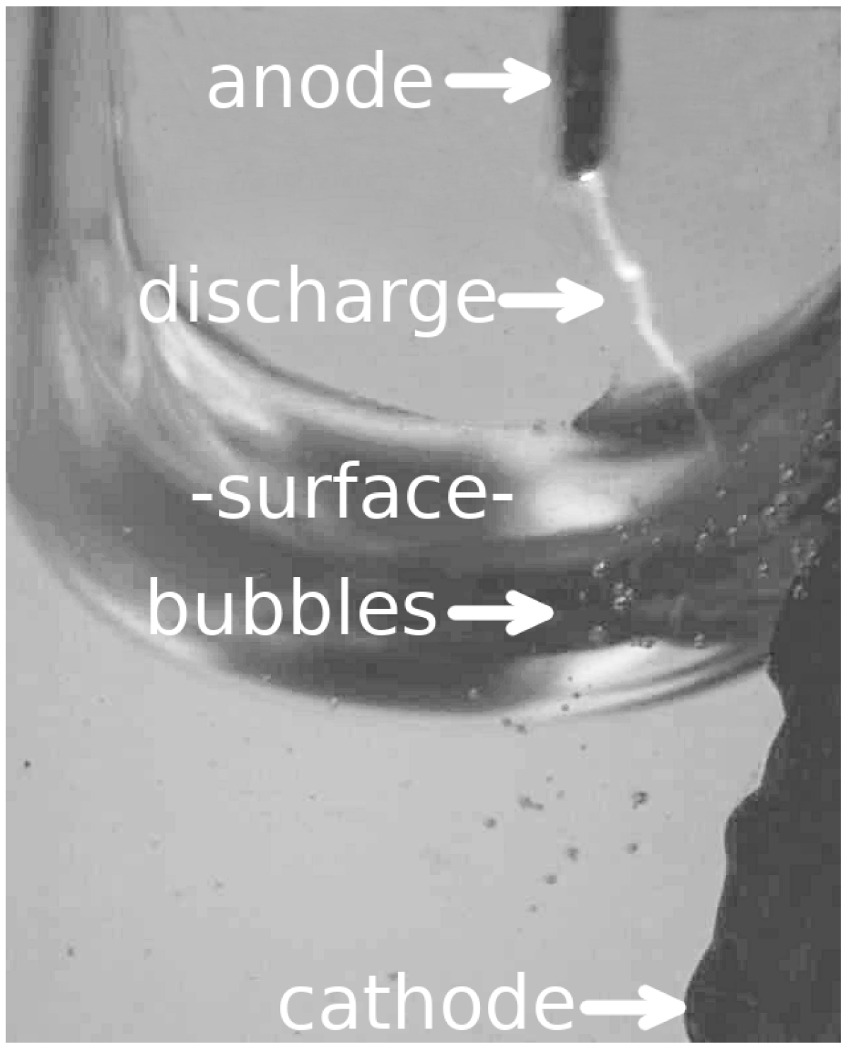 Micromachines 08 00259 g002 550