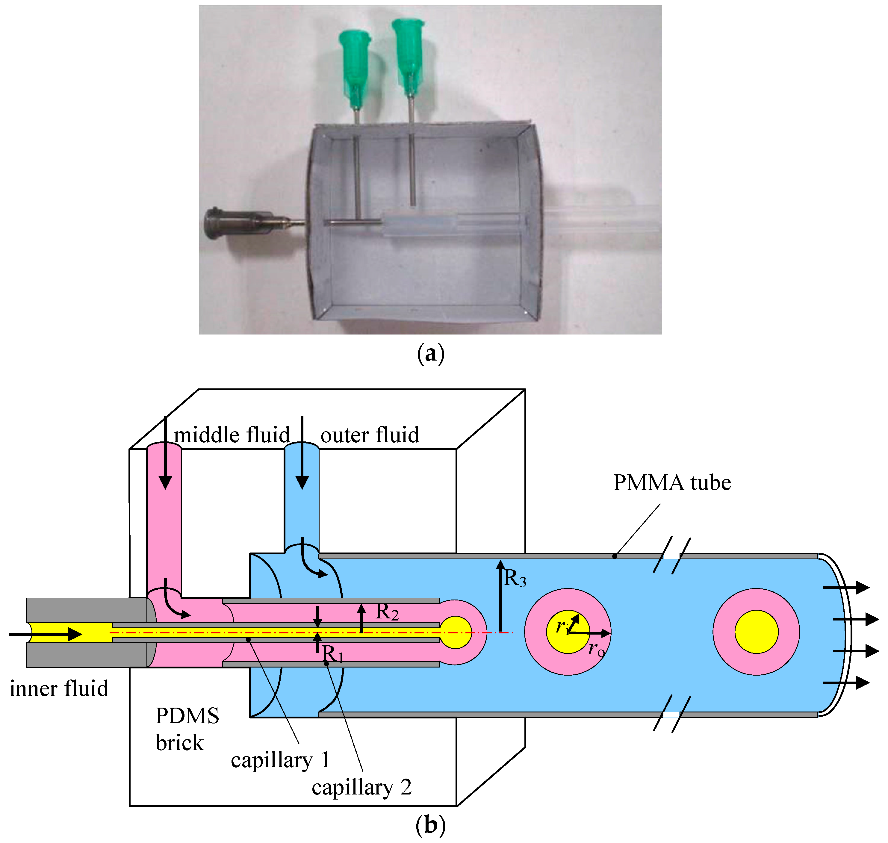 Micromachines Free FullText Visualization Study of OilinWaterin