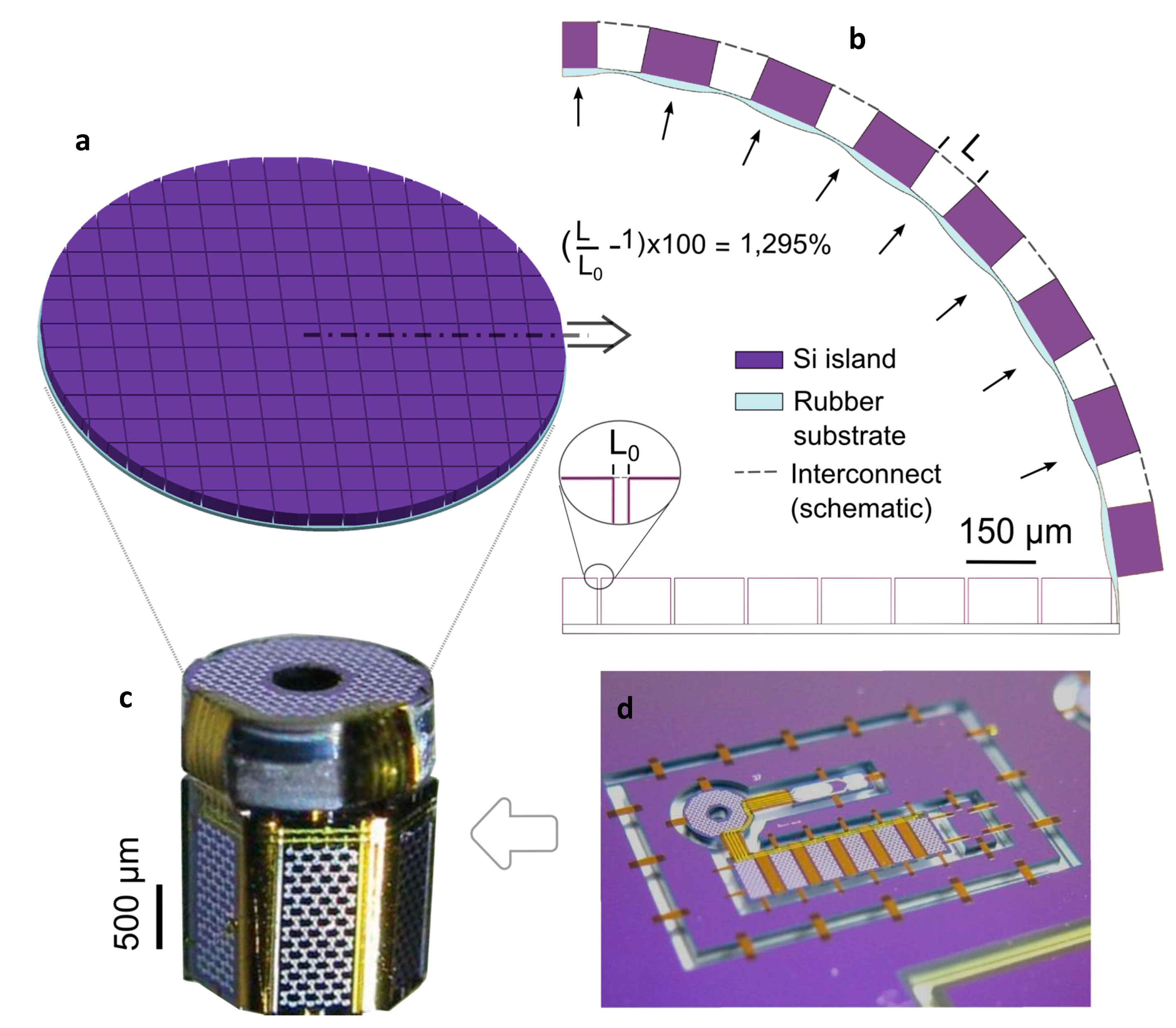 Micromachines 08 00277 g001 550