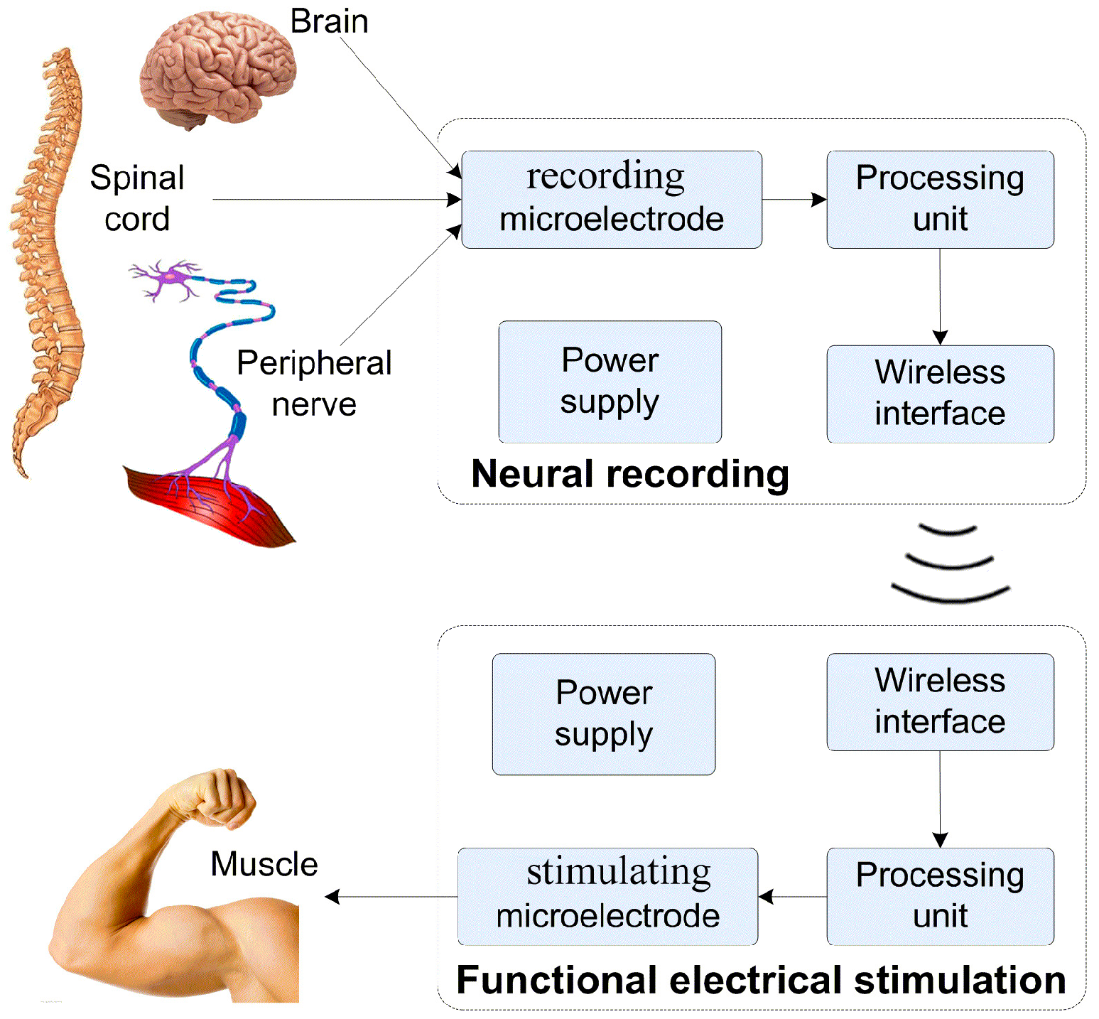Micromachines 08 00281 g001