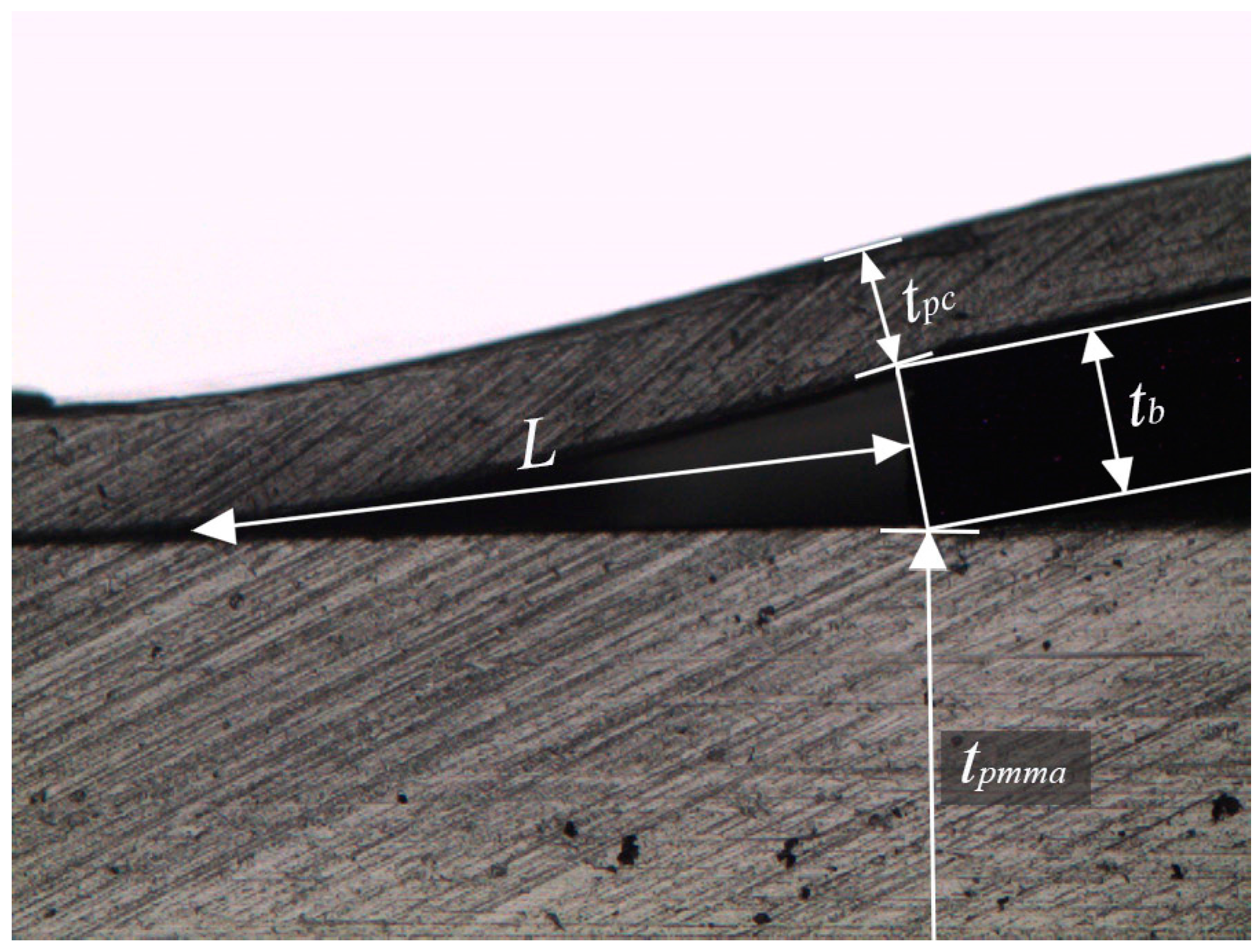 Micromachines 08 00284 g006
