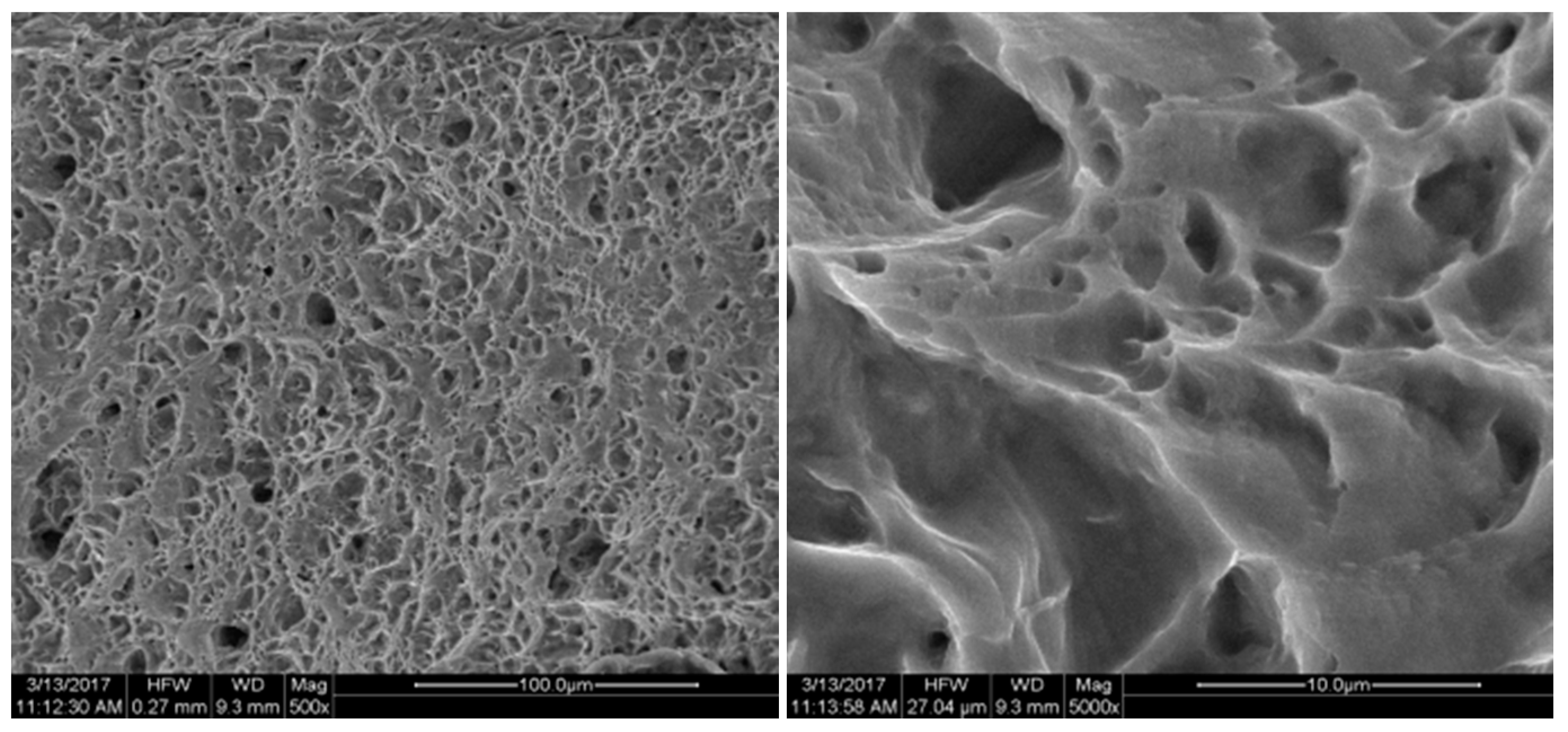 Micromachines 08 00286 g018