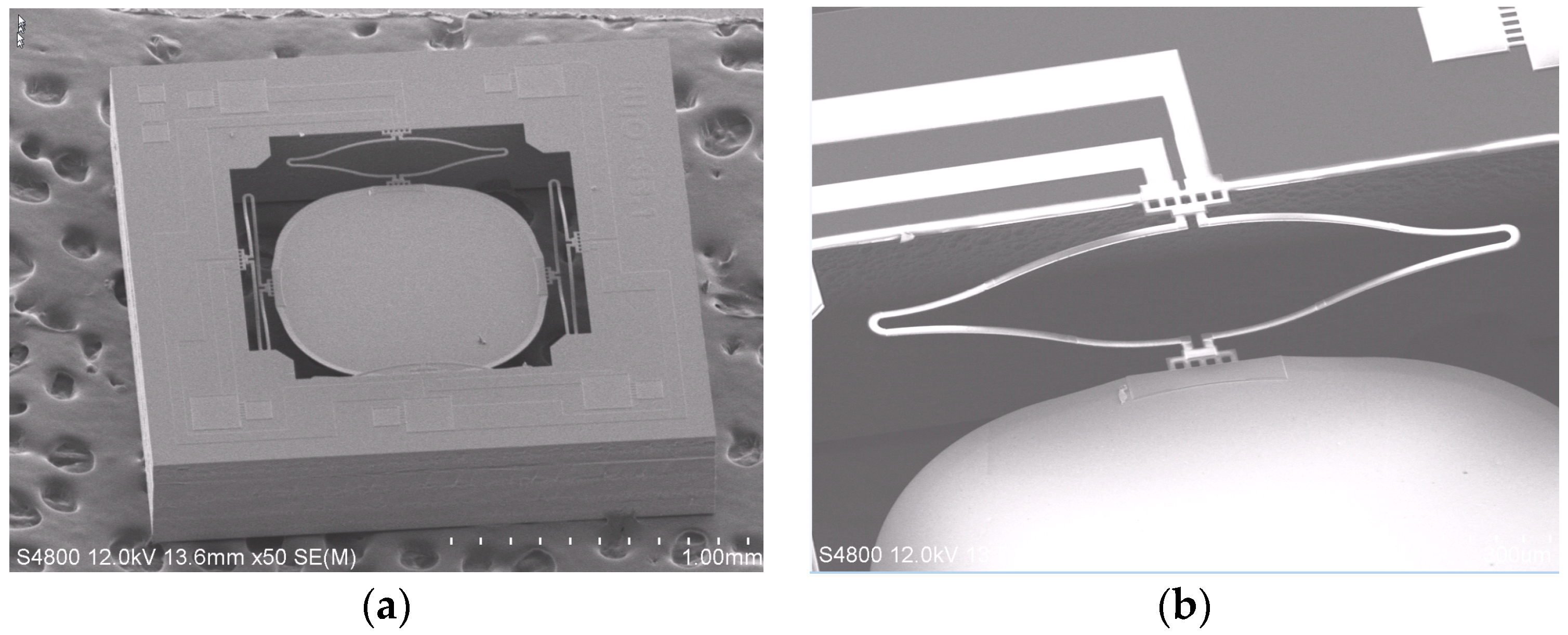 Micromachines 08 00289 g002 550