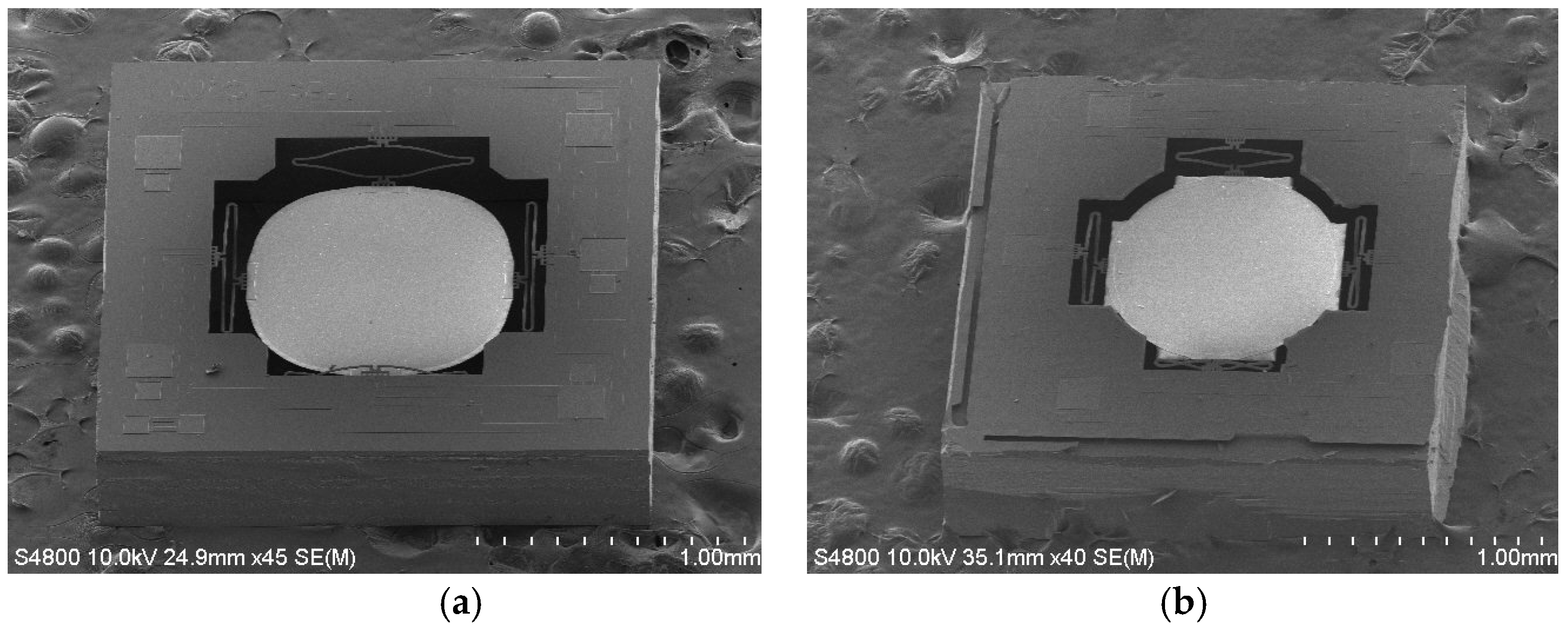 Micromachines 08 00289 g008 550