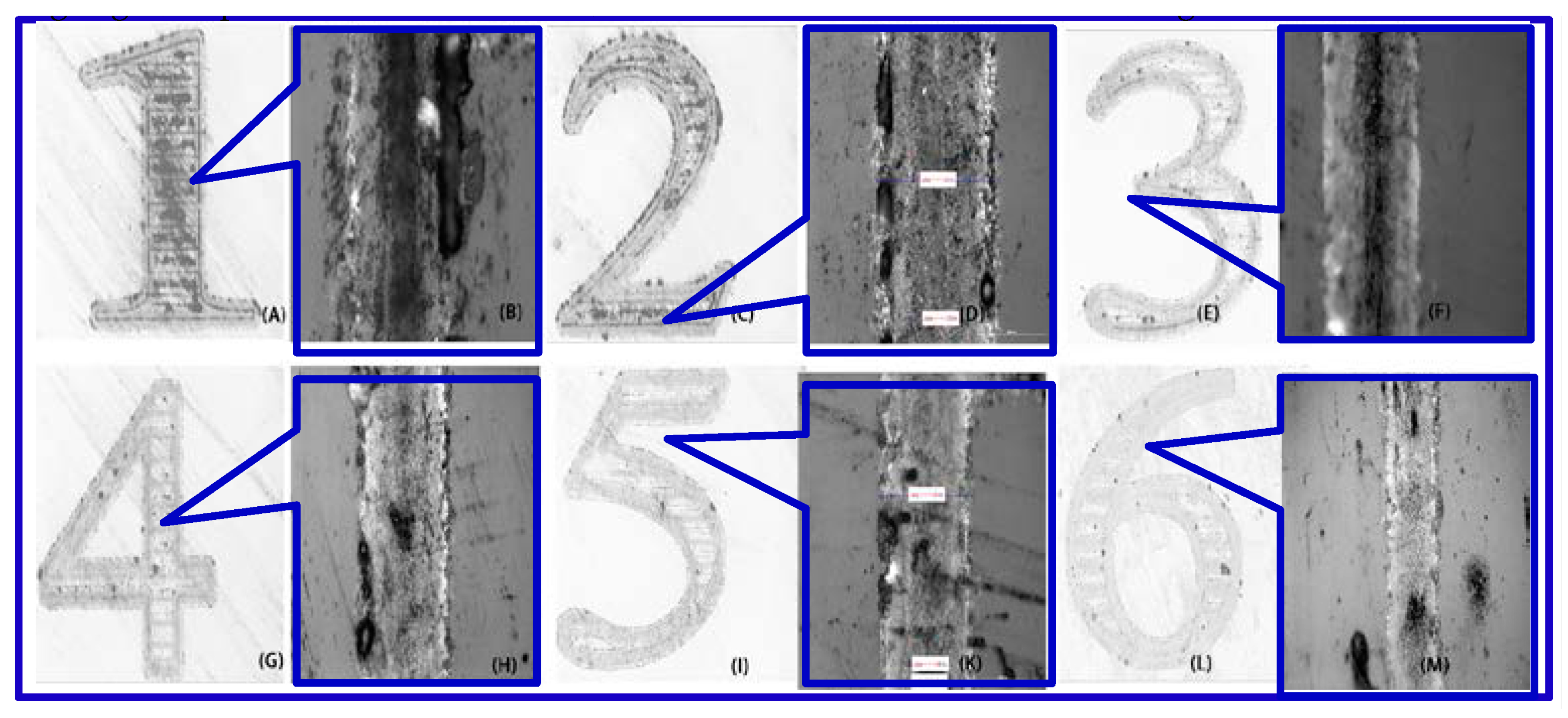 Micromachines 08 00300 g005