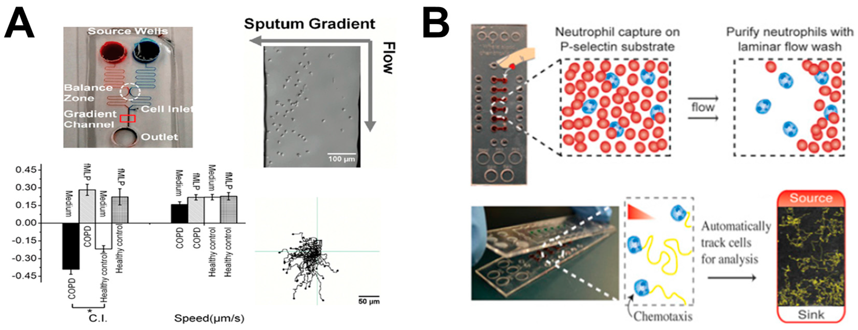 Micromachines 08 00324 g003 550
