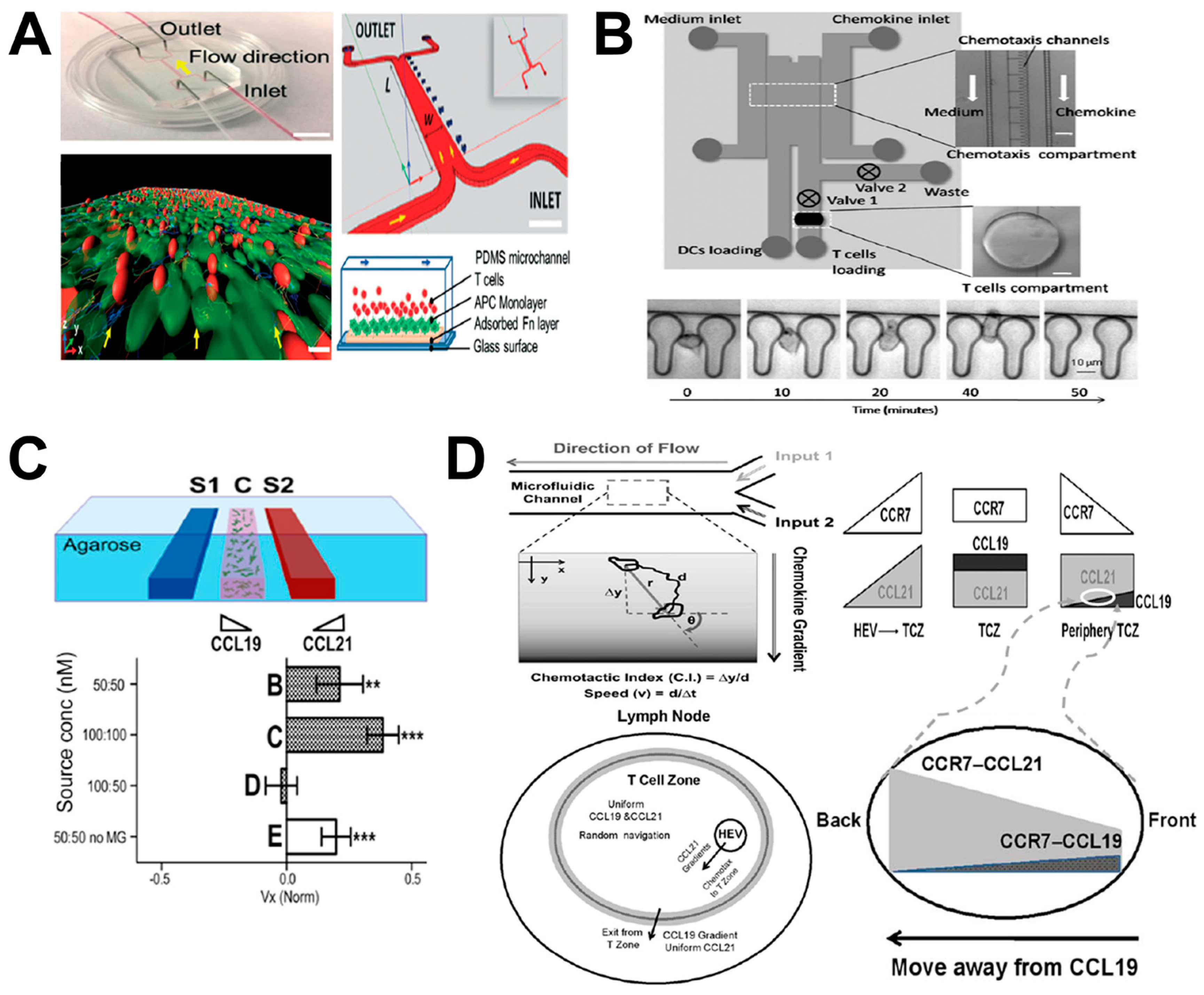 Micromachines 08 00324 g005 550